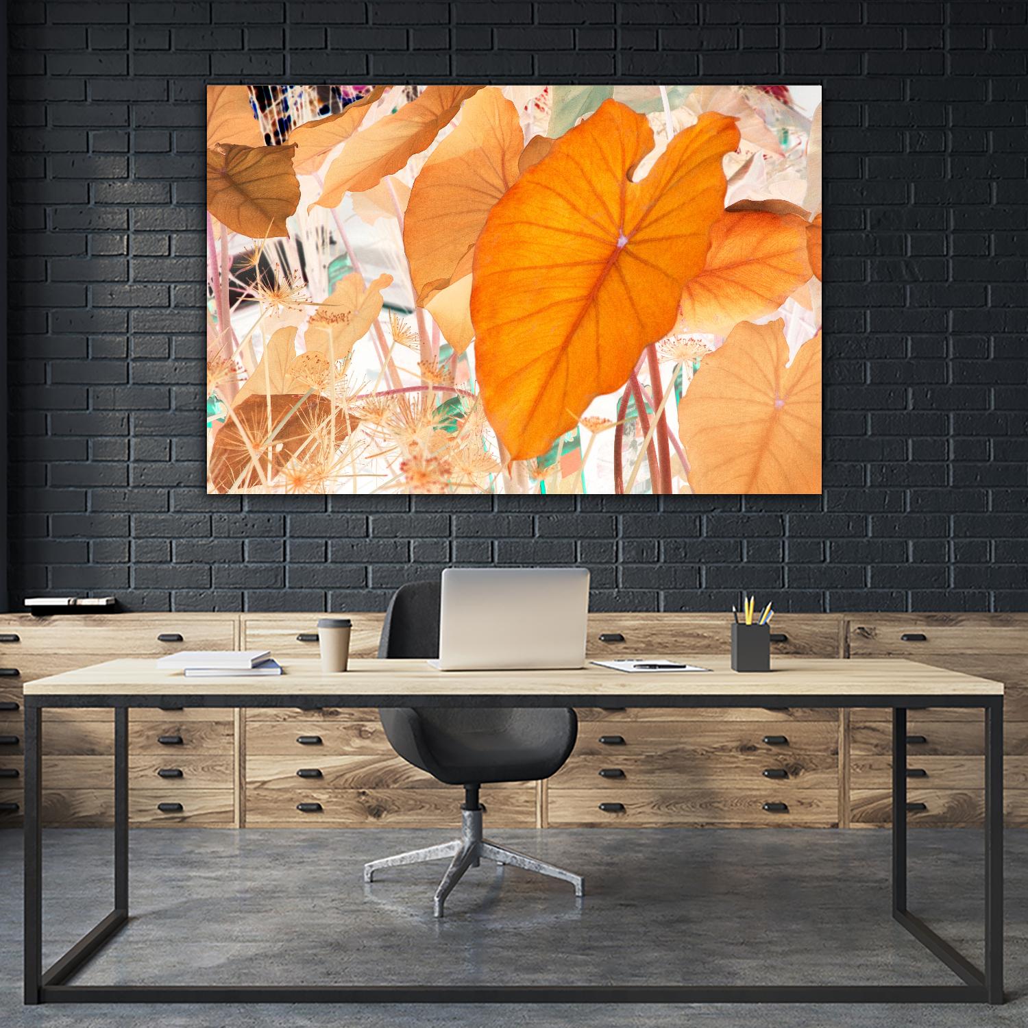 Elephant Ears by Judy Stalus on GIANT ART - multicolor photography; floral/still life; contemporary