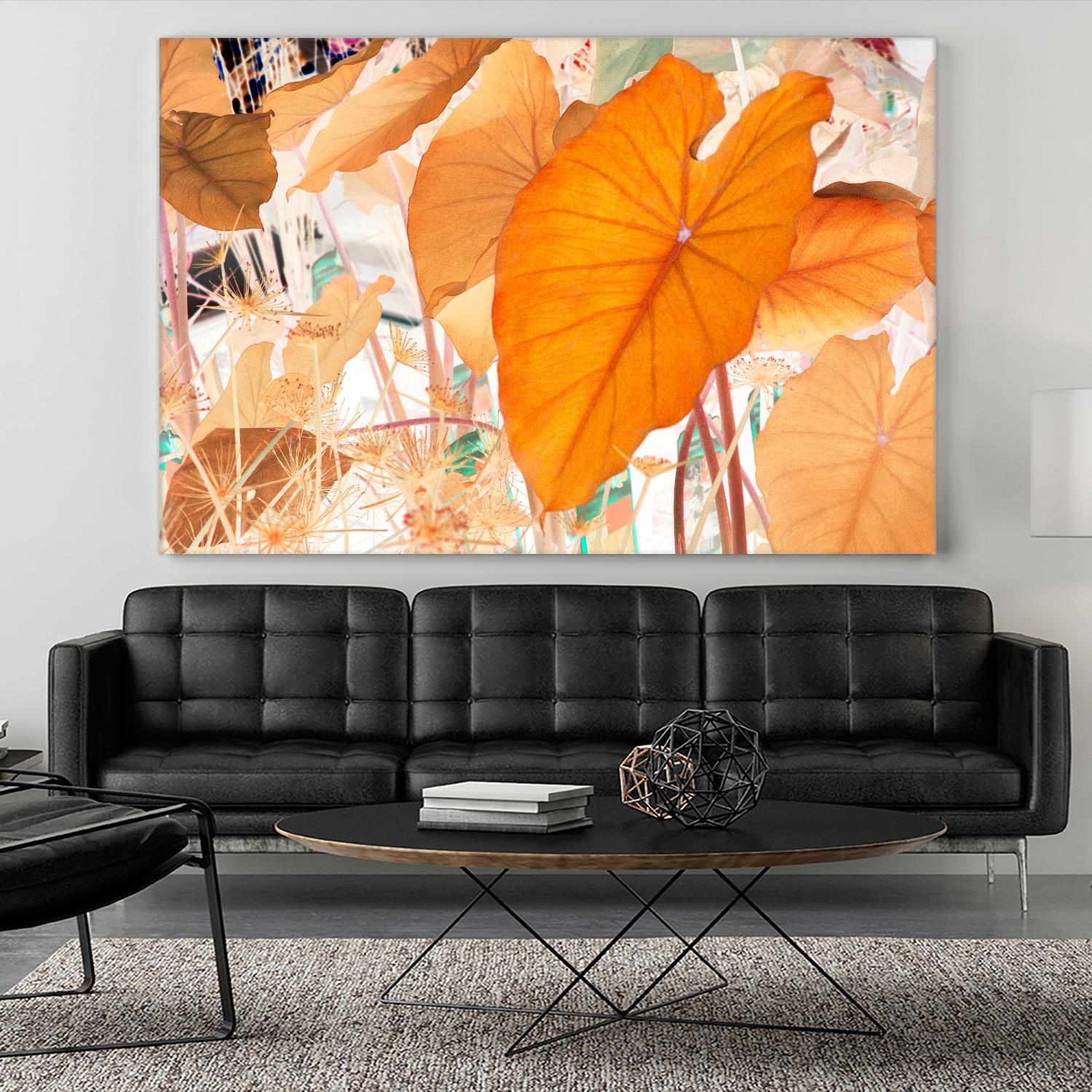 Elephant Ears by Judy Stalus on GIANT ART - multicolor photography; floral/still life; contemporary