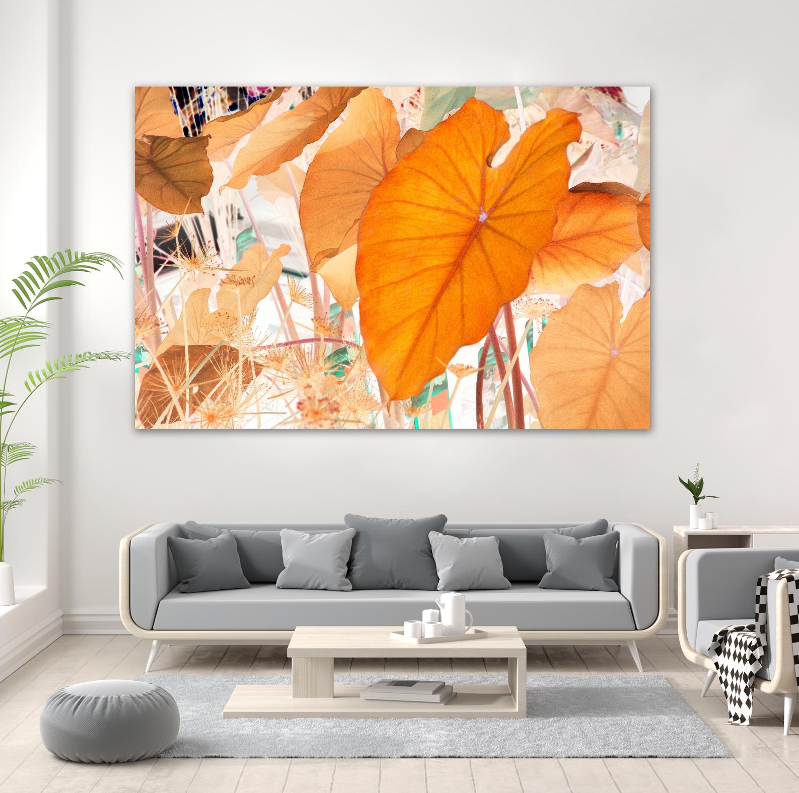 Elephant Ears by Judy Stalus on GIANT ART - multicolor photography; floral/still life; contemporary