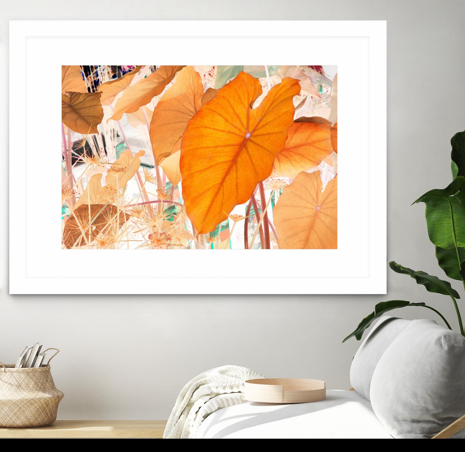 Elephant Ears by Judy Stalus on GIANT ART - multicolor photography; floral/still life; contemporary