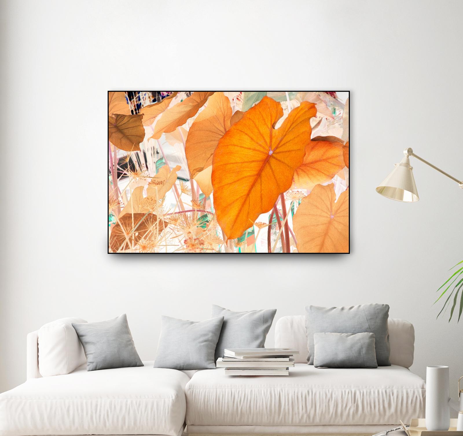 Elephant Ears by Judy Stalus on GIANT ART - multicolor photography; floral/still life; contemporary