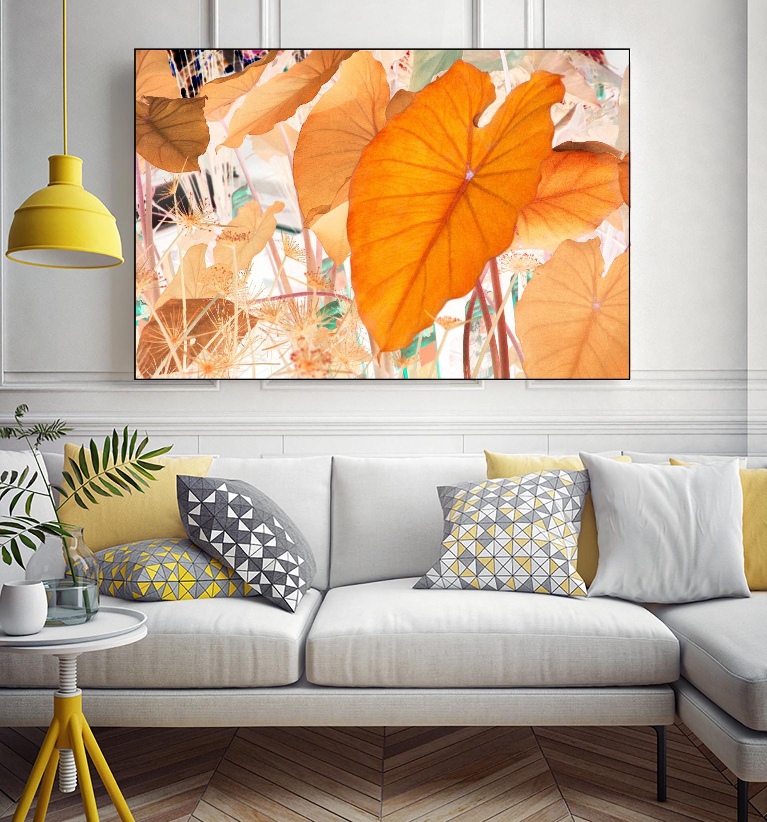 Elephant Ears by Judy Stalus on GIANT ART - multicolor photography; floral/still life; contemporary