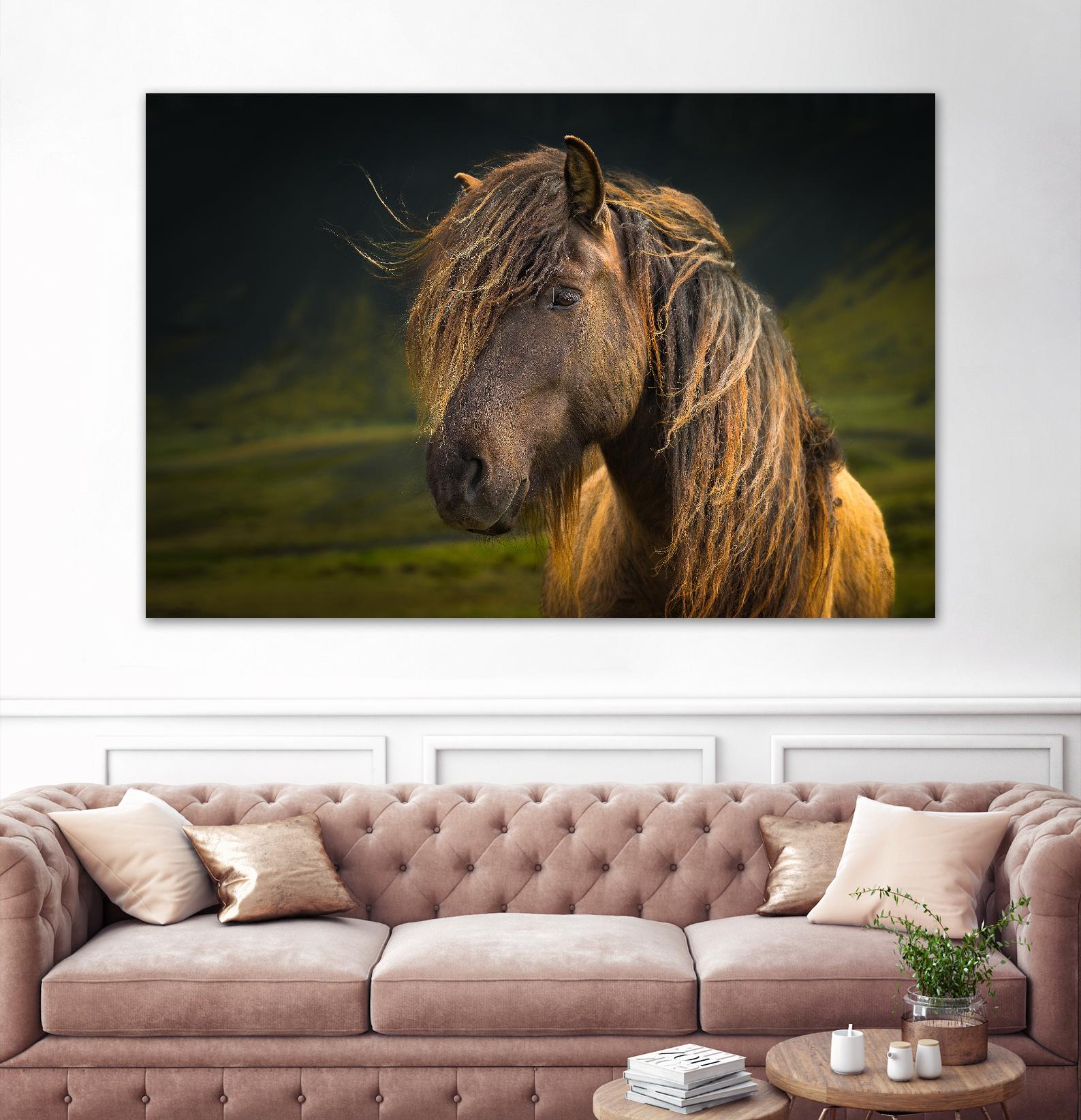 Born To Be Wild by Anne Schneidersmann on GIANT ART - multicolor photography; animals