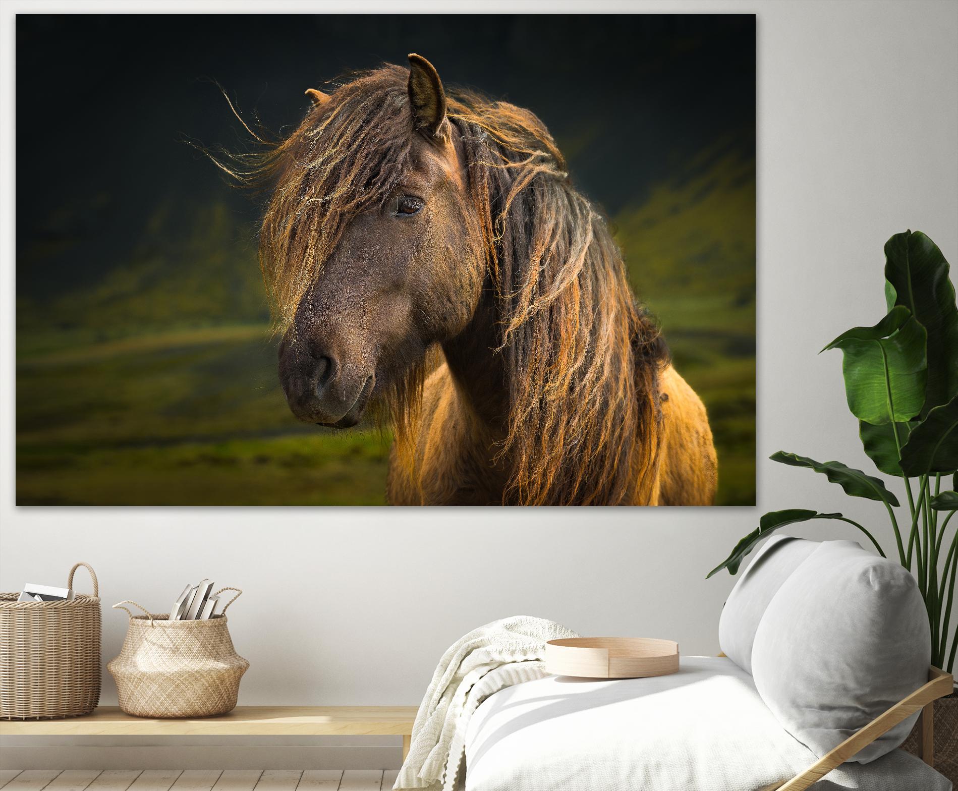 Born To Be Wild by Anne Schneidersmann on GIANT ART - multicolor photography; animals