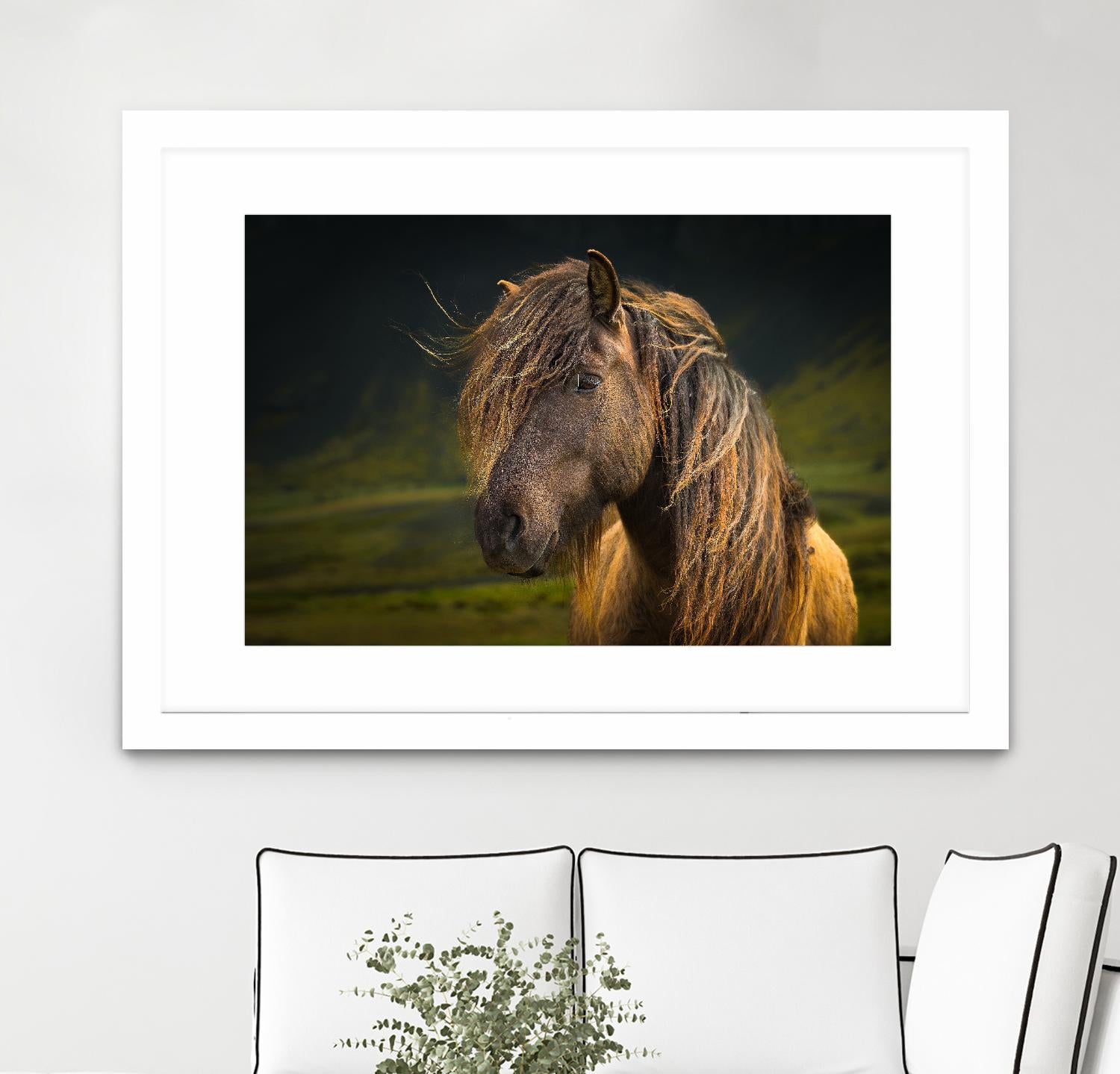 Born To Be Wild by Anne Schneidersmann on GIANT ART - multicolor photography; animals