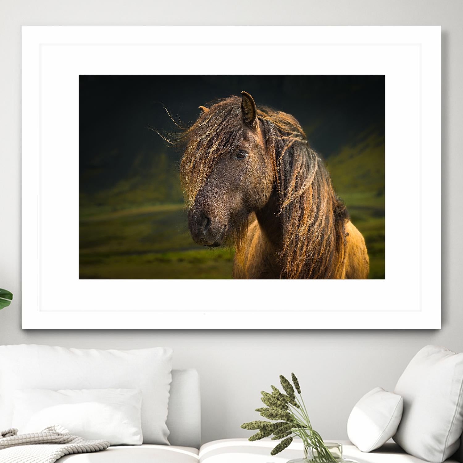 Born To Be Wild by Anne Schneidersmann on GIANT ART - multicolor photography; animals