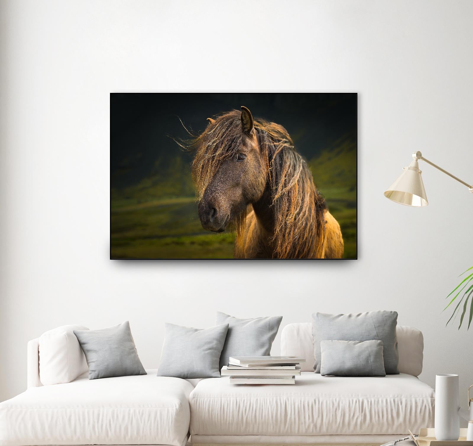 Born To Be Wild by Anne Schneidersmann on GIANT ART - multicolor photography; animals