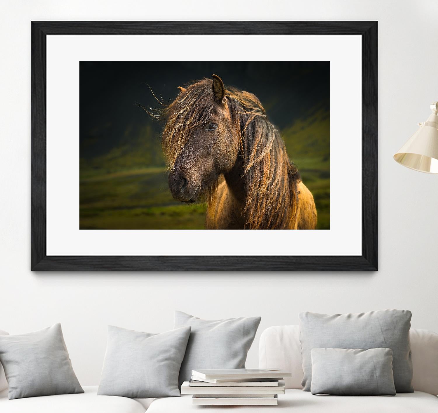 Born To Be Wild by Anne Schneidersmann on GIANT ART - multicolor photography; animals