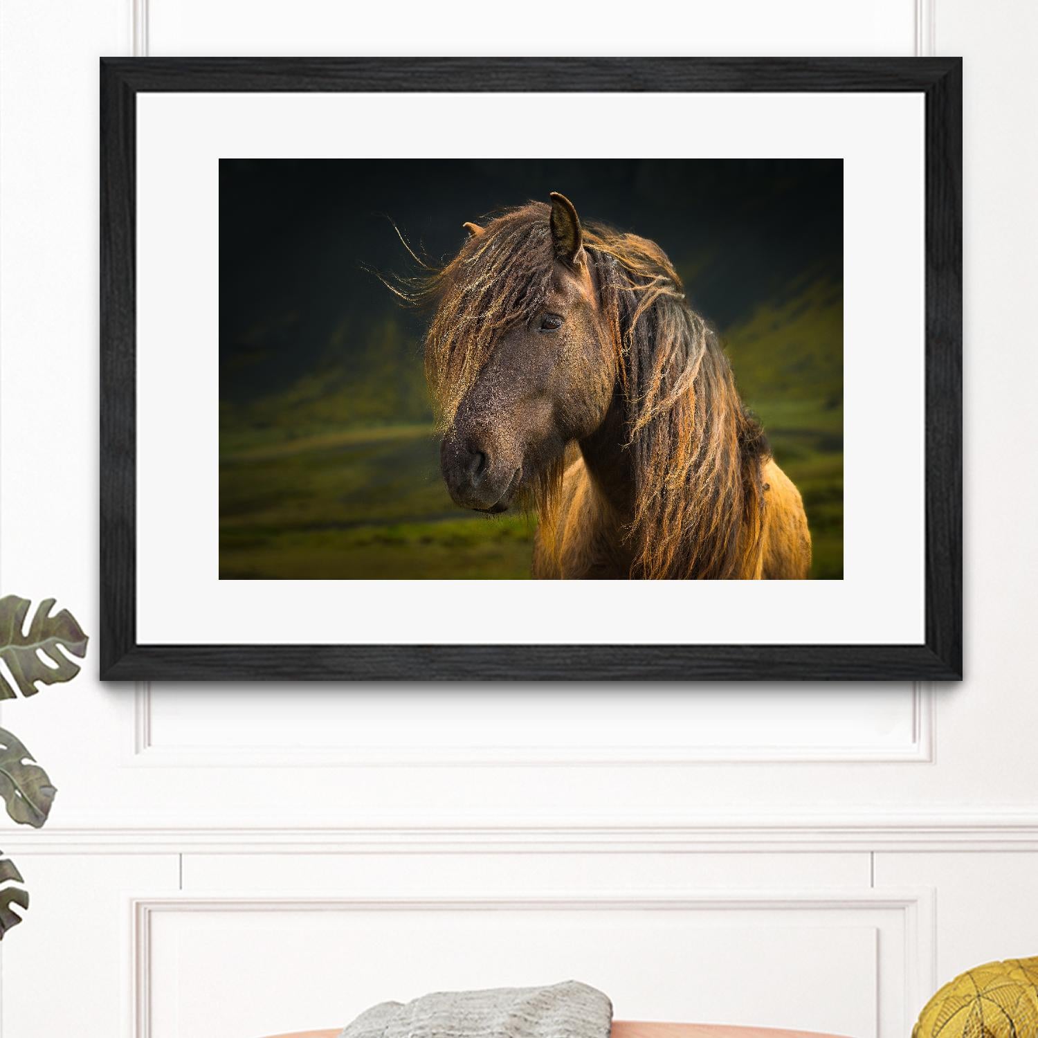 Born To Be Wild by Anne Schneidersmann on GIANT ART - multicolor photography; animals