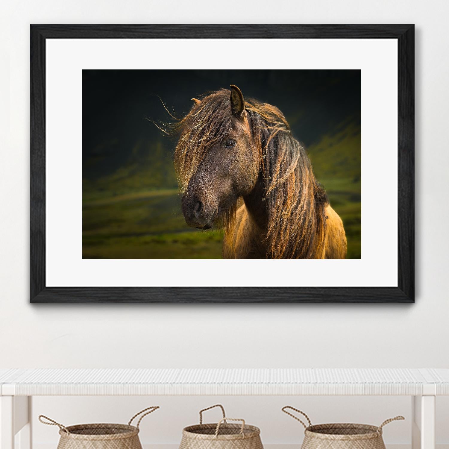 Born To Be Wild by Anne Schneidersmann on GIANT ART - multicolor photography; animals