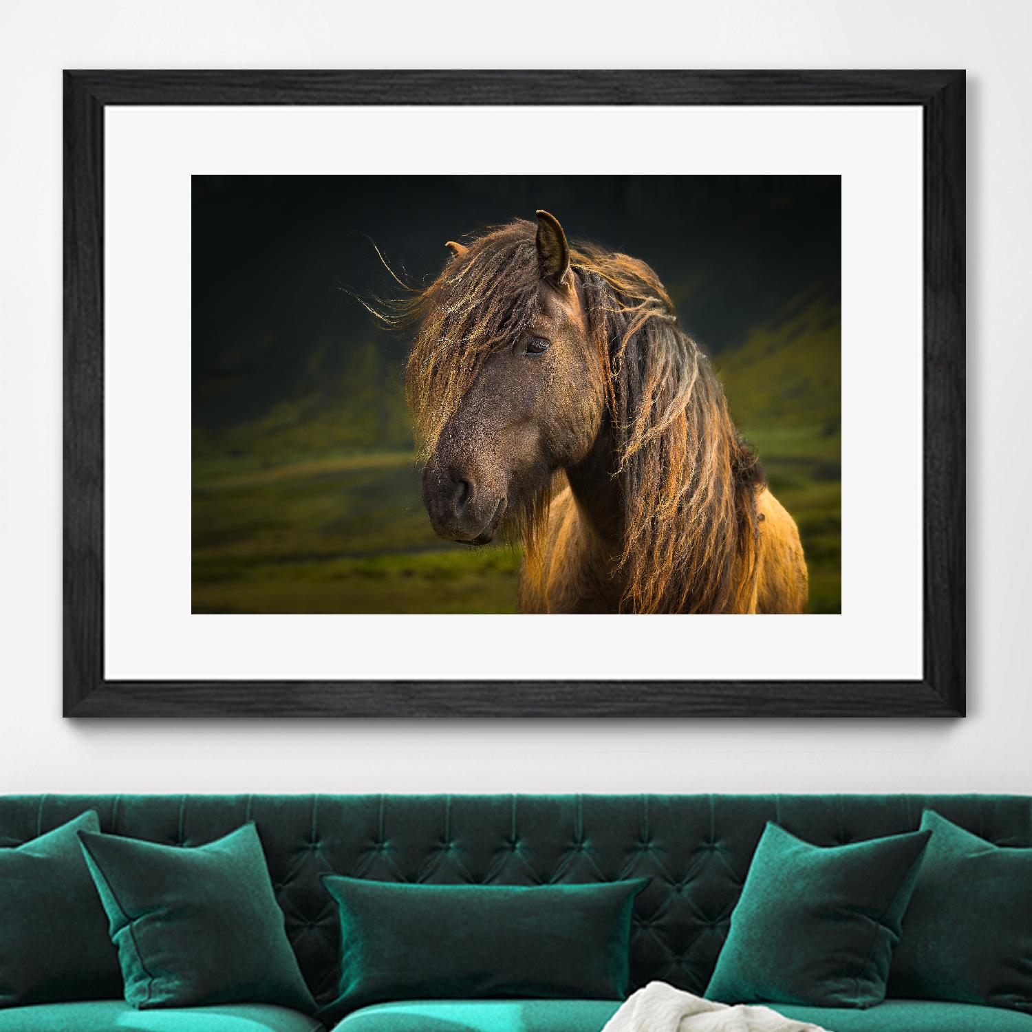 Born To Be Wild by Anne Schneidersmann on GIANT ART - multicolor photography; animals