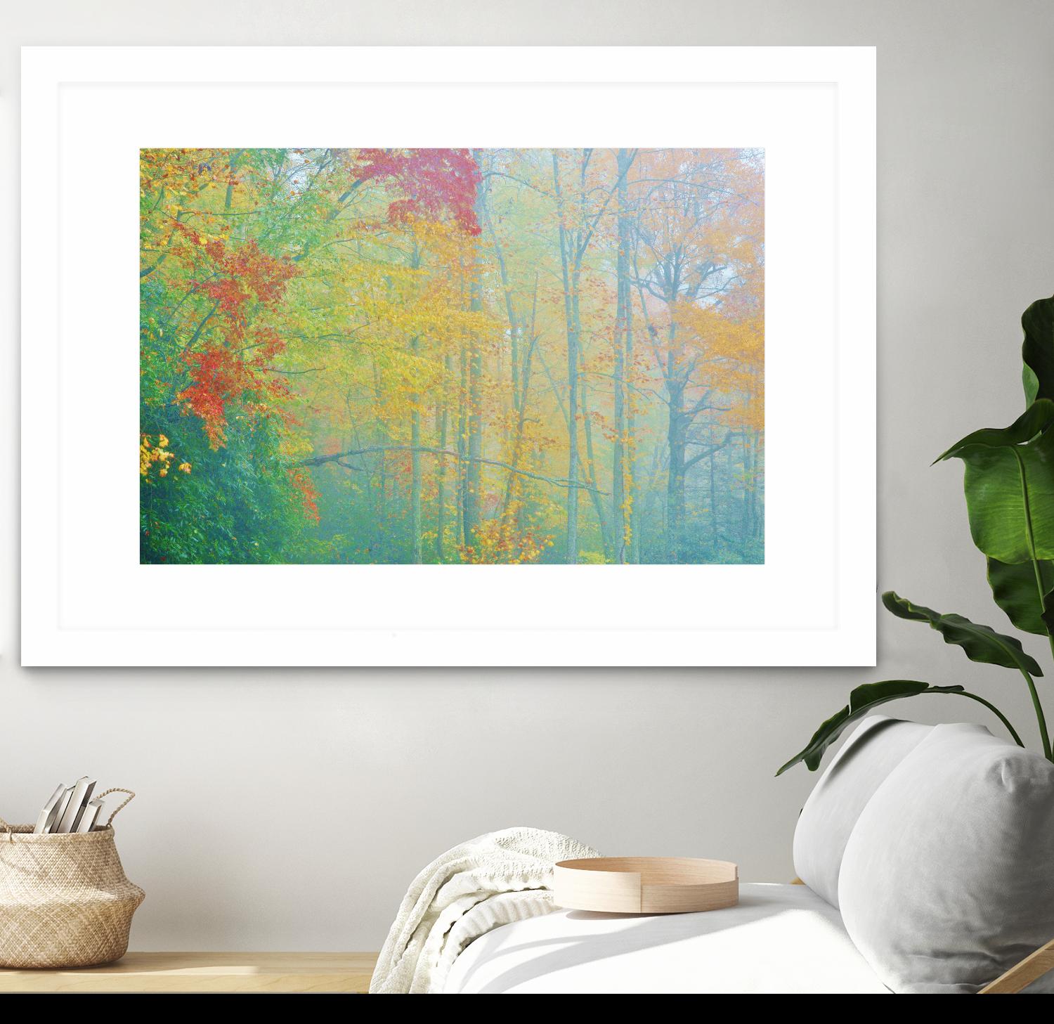 Autumn’s Palette by Steve Vaughn on GIANT ART - multicolor photography; landscapes