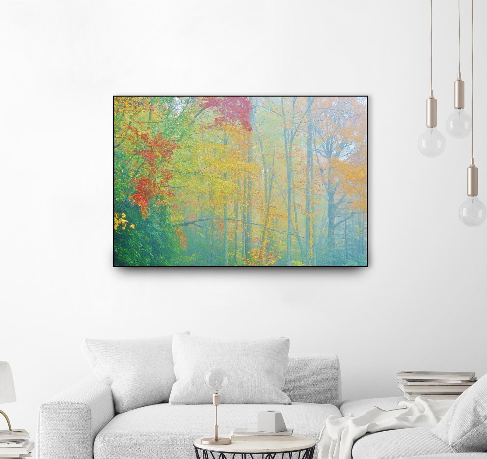 Autumn’s Palette by Steve Vaughn on GIANT ART - multicolor photography; landscapes