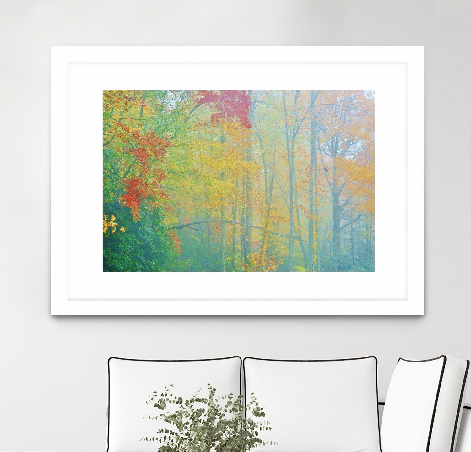 Autumn’s Palette by Steve Vaughn on GIANT ART - multicolor photography; landscapes