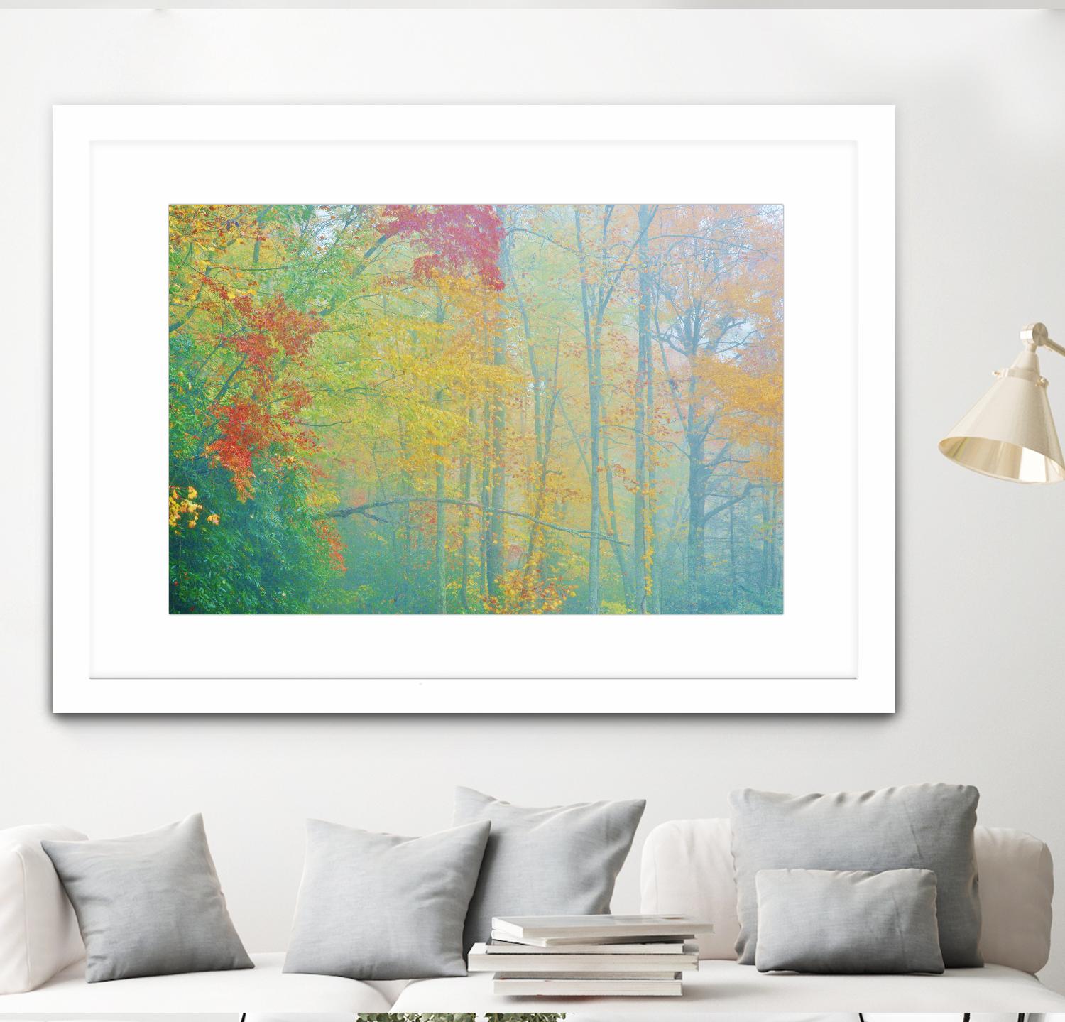 Autumn’s Palette by Steve Vaughn on GIANT ART - multicolor photography; landscapes