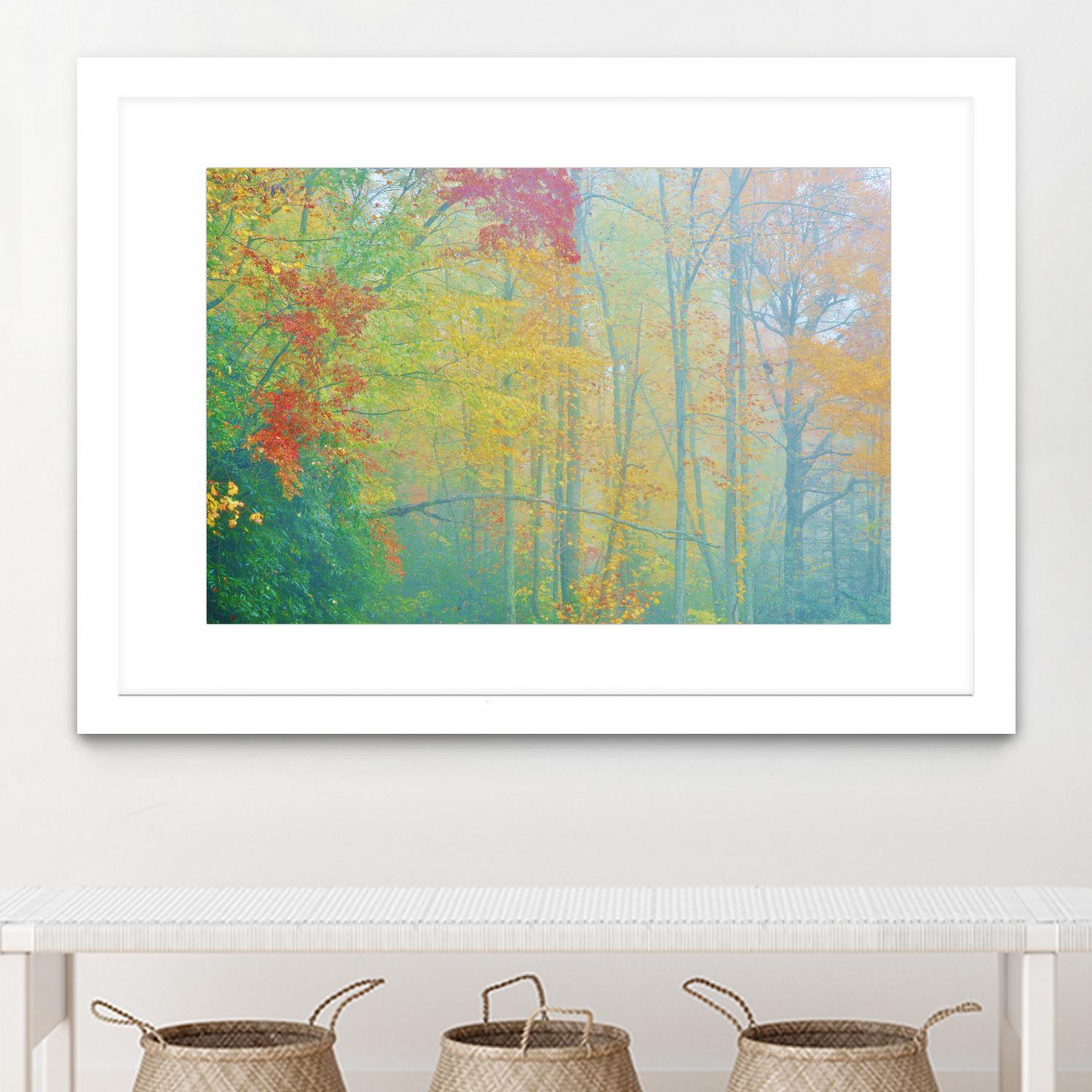 Autumn’s Palette by Steve Vaughn on GIANT ART - multicolor photography; landscapes