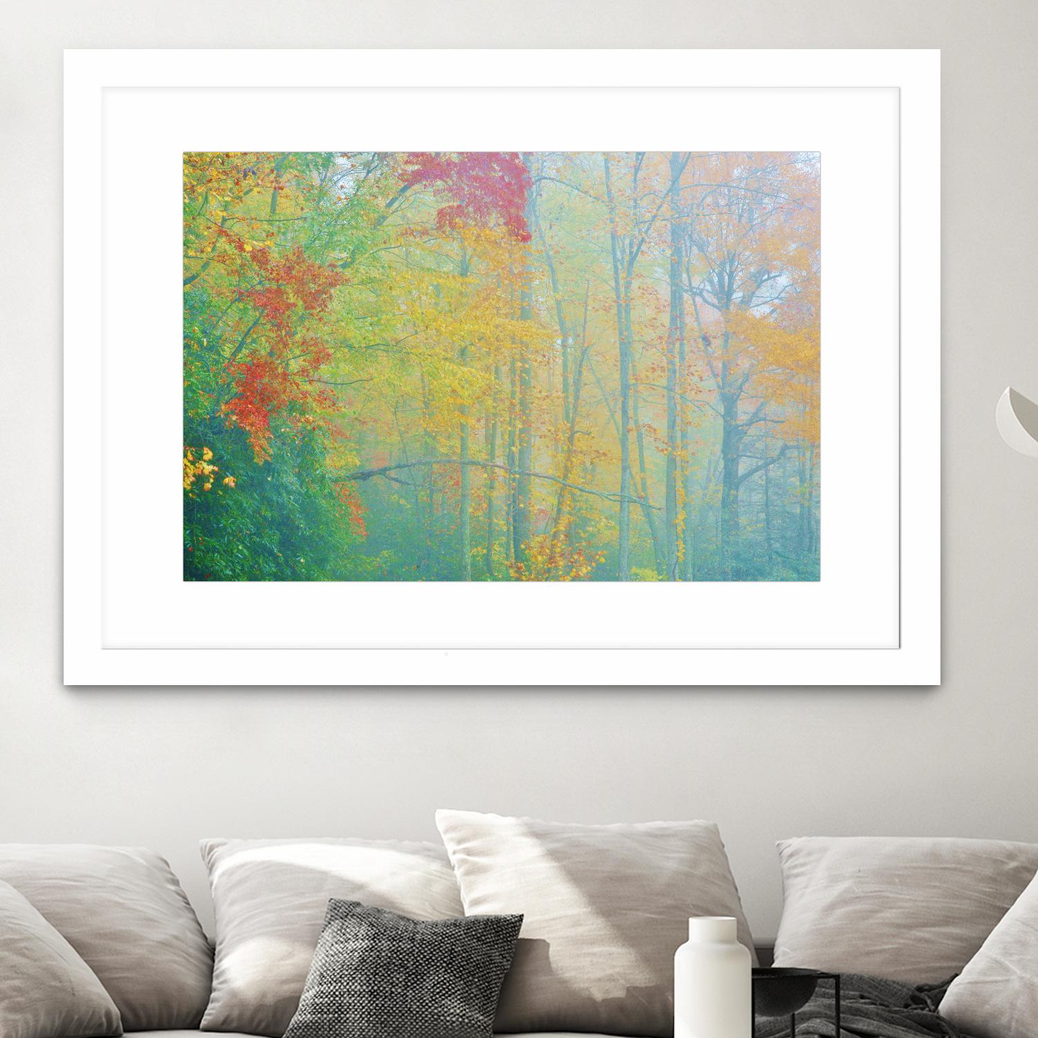 Autumn’s Palette by Steve Vaughn on GIANT ART - multicolor photography; landscapes