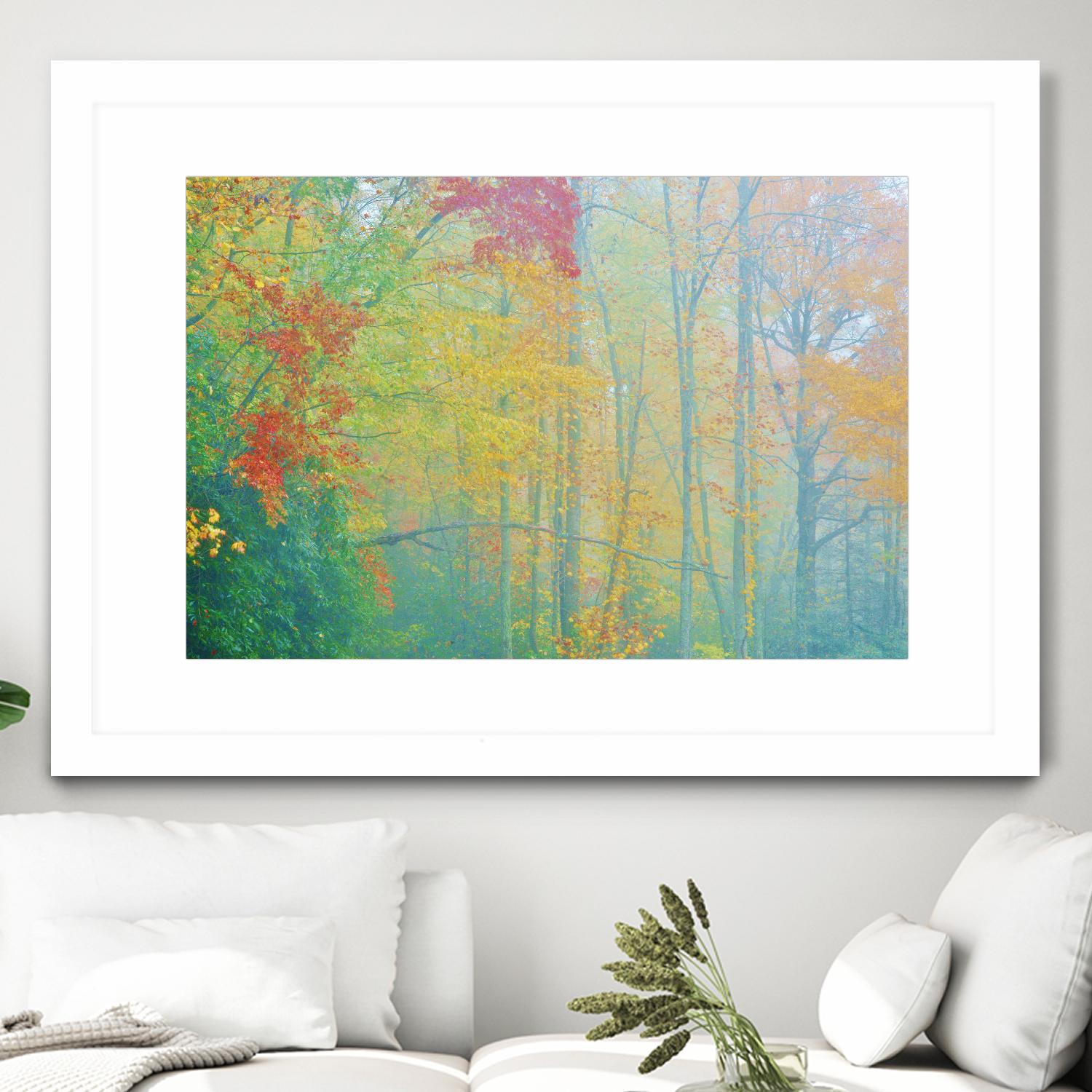 Autumn’s Palette by Steve Vaughn on GIANT ART - multicolor photography; landscapes
