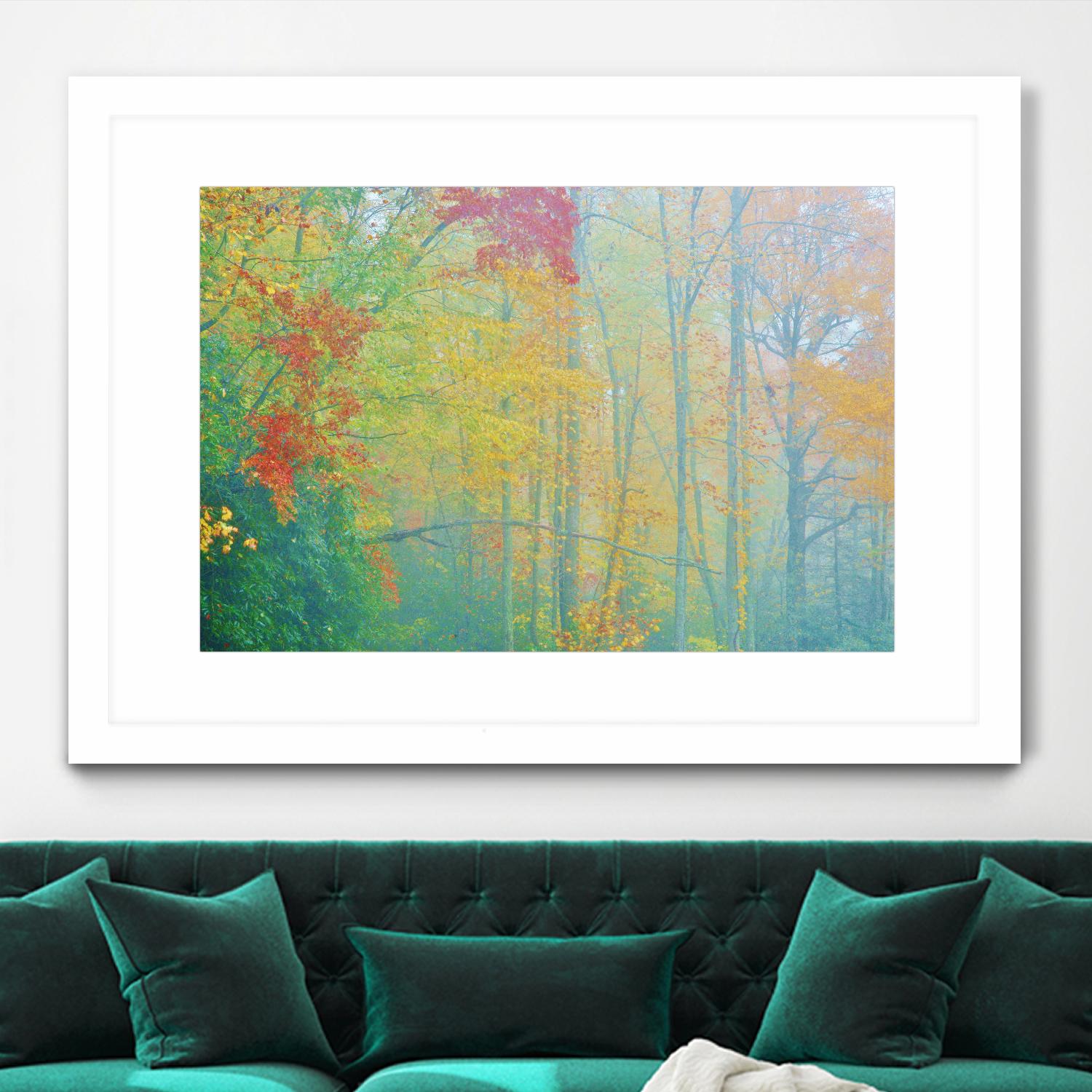 Autumn’s Palette by Steve Vaughn on GIANT ART - multicolor photography; landscapes