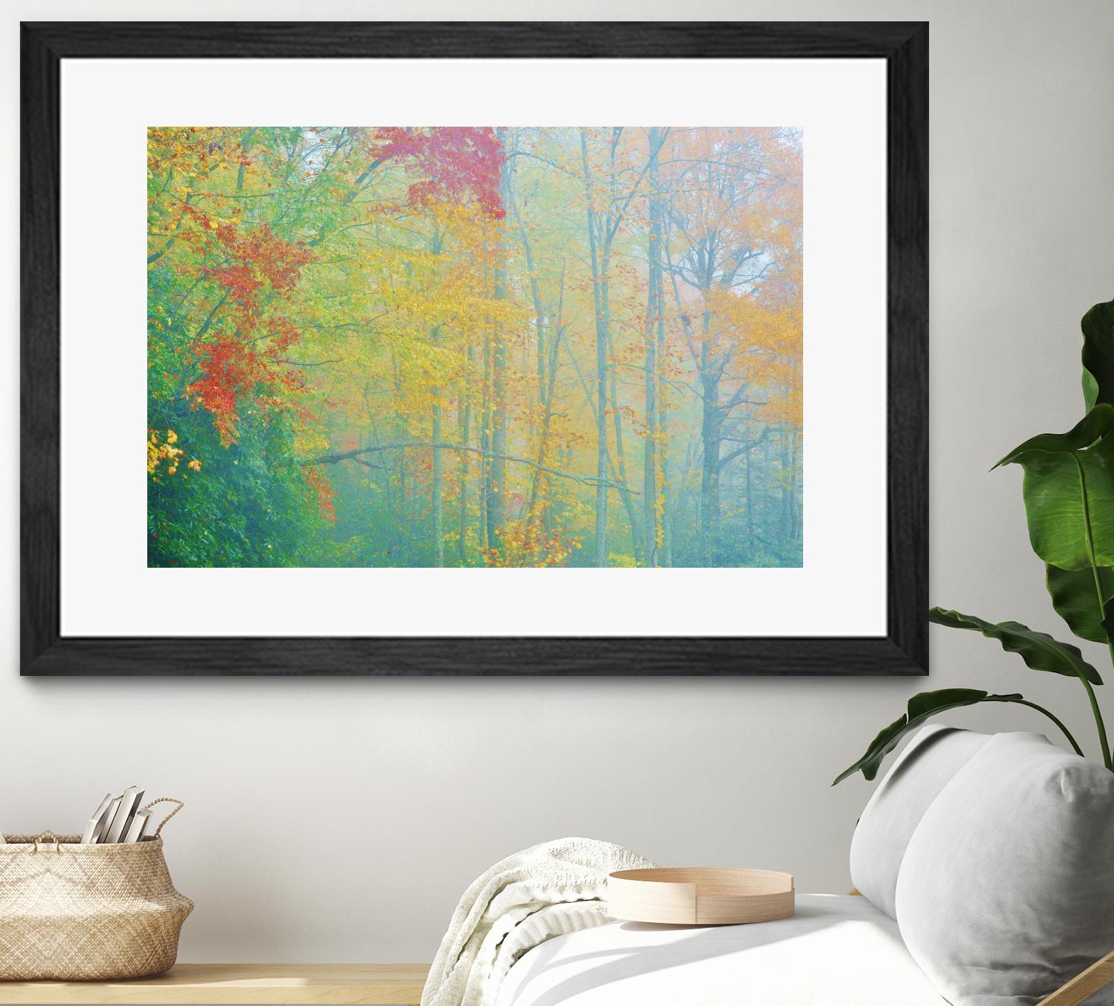 Autumn’s Palette by Steve Vaughn on GIANT ART - multicolor photography; landscapes