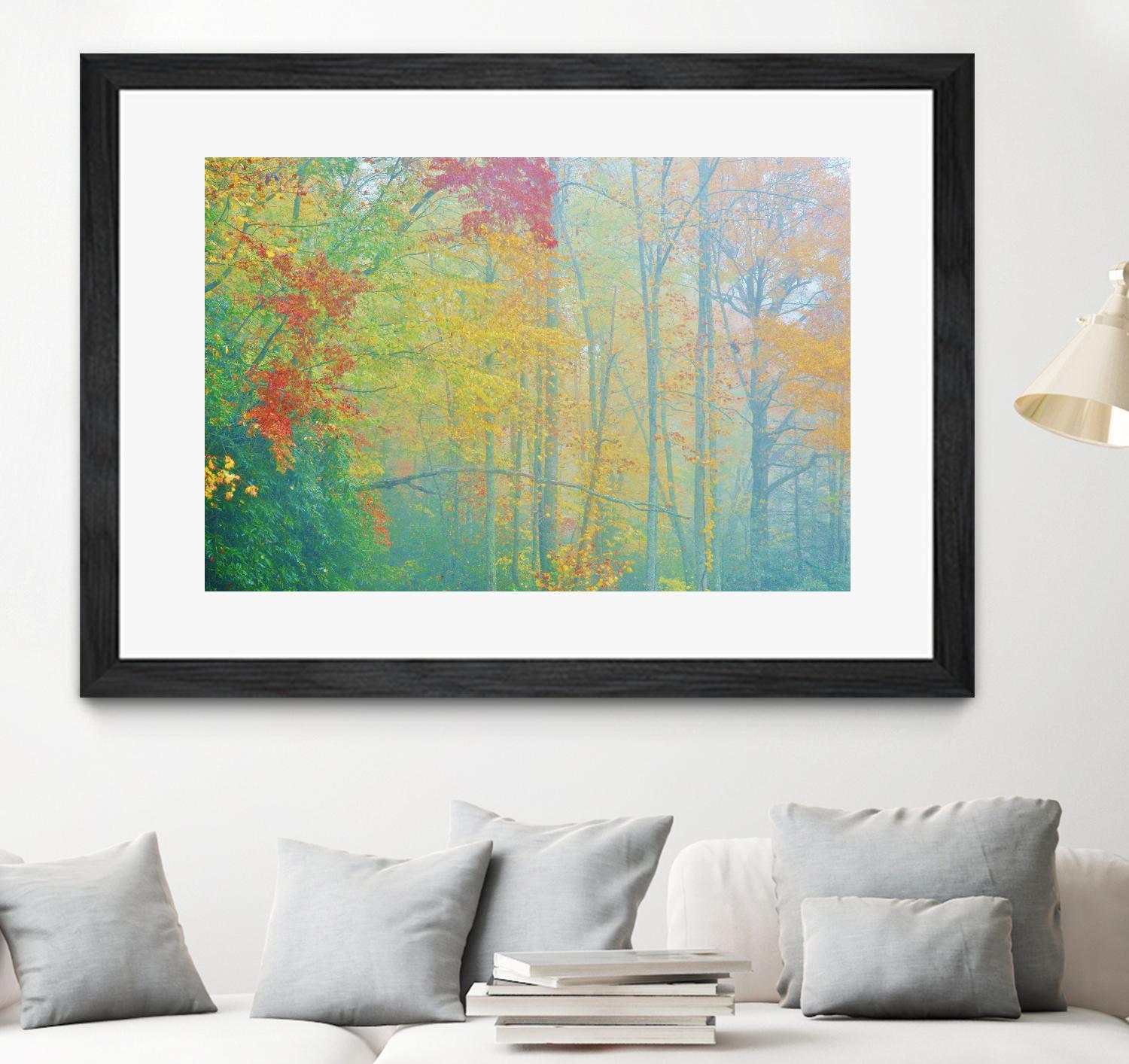 Autumn’s Palette by Steve Vaughn on GIANT ART - multicolor photography; landscapes