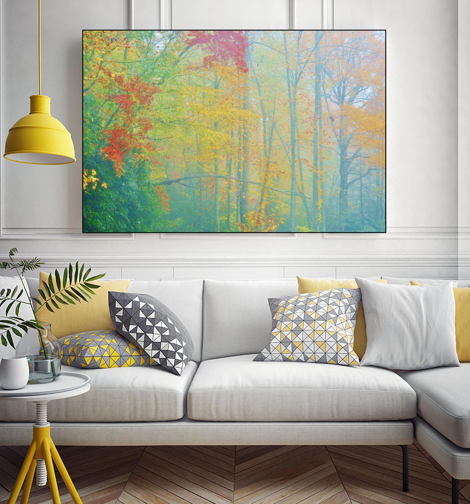 Autumn’s Palette by Steve Vaughn on GIANT ART - multicolor photography; landscapes