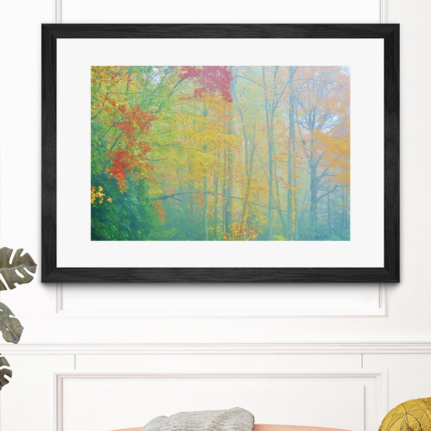 Autumn’s Palette by Steve Vaughn on GIANT ART - multicolor photography; landscapes