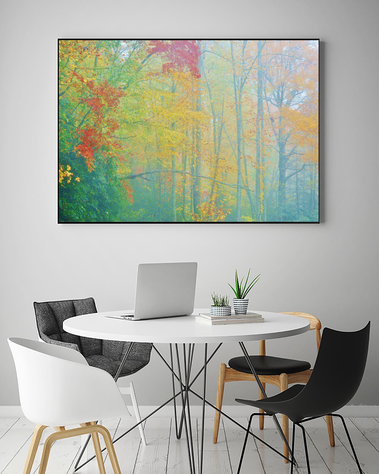 Autumn’s Palette by Steve Vaughn on GIANT ART - multicolor photography; landscapes