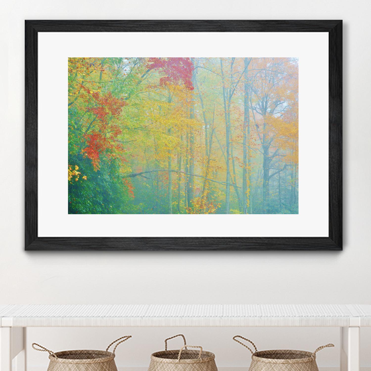 Autumn’s Palette by Steve Vaughn on GIANT ART - multicolor photography; landscapes