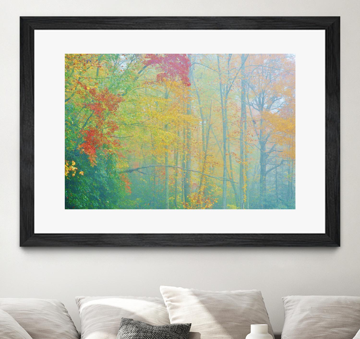 Autumn’s Palette by Steve Vaughn on GIANT ART - multicolor photography; landscapes
