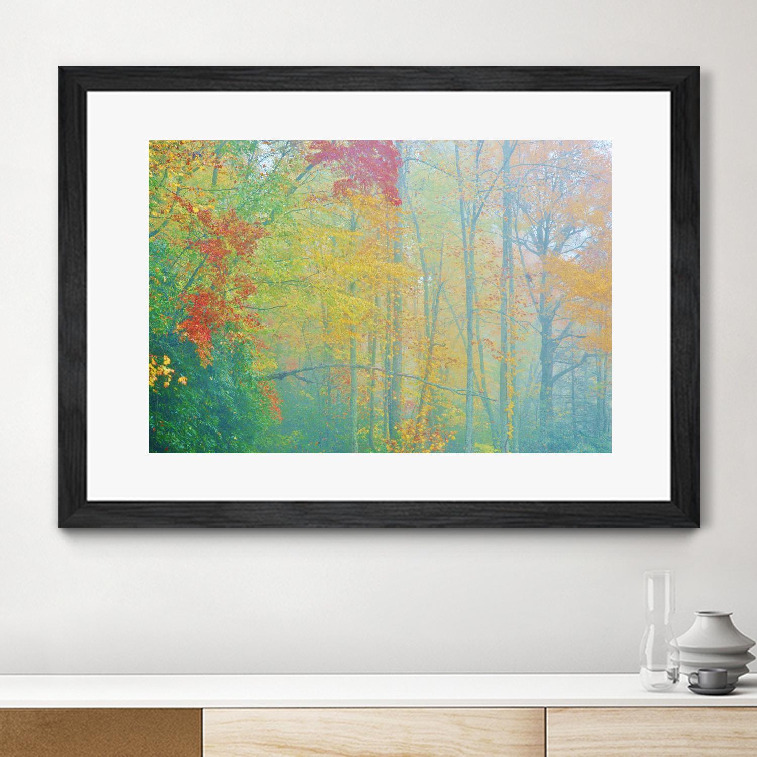 Autumn’s Palette by Steve Vaughn on GIANT ART - multicolor photography; landscapes