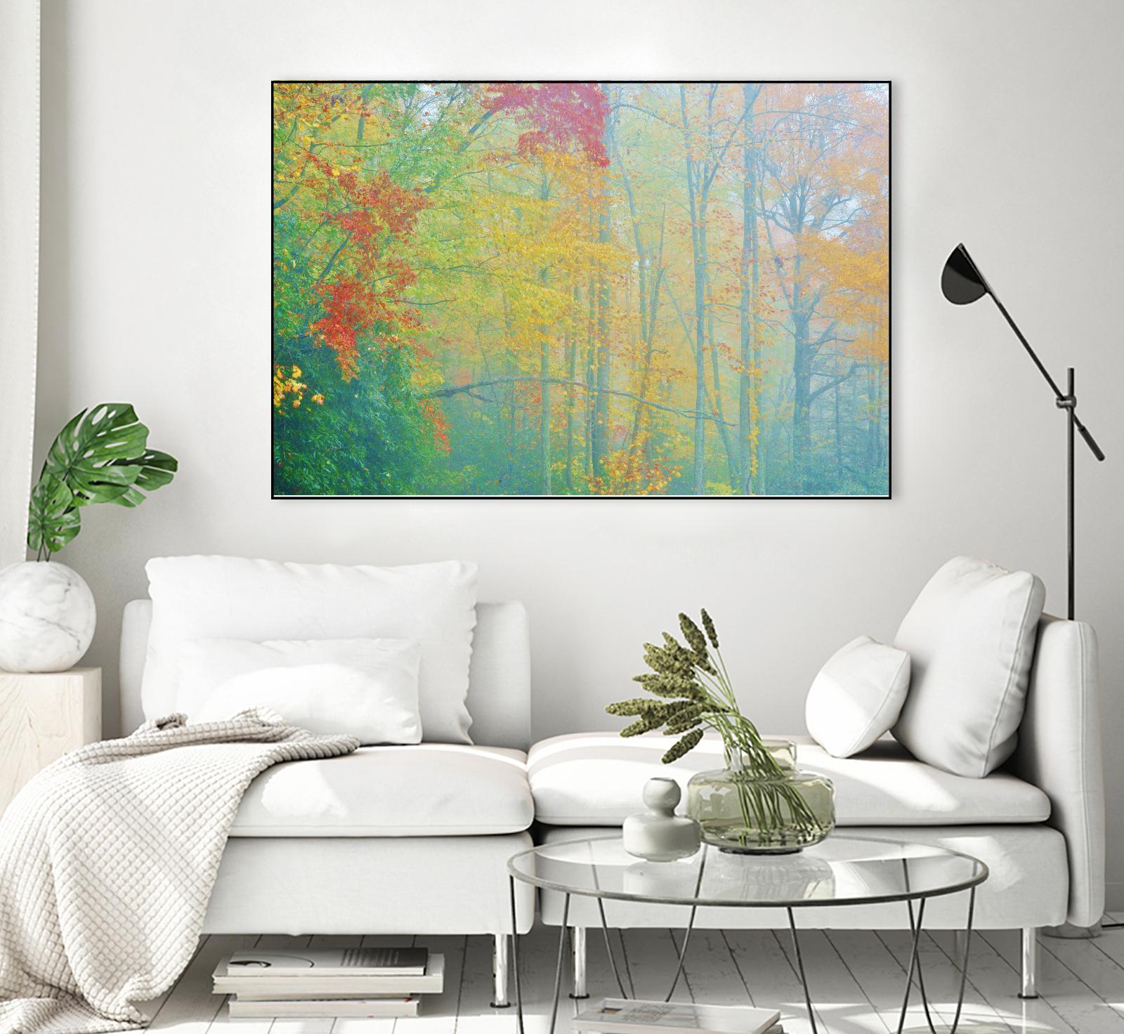 Autumn’s Palette by Steve Vaughn on GIANT ART - multicolor photography; landscapes