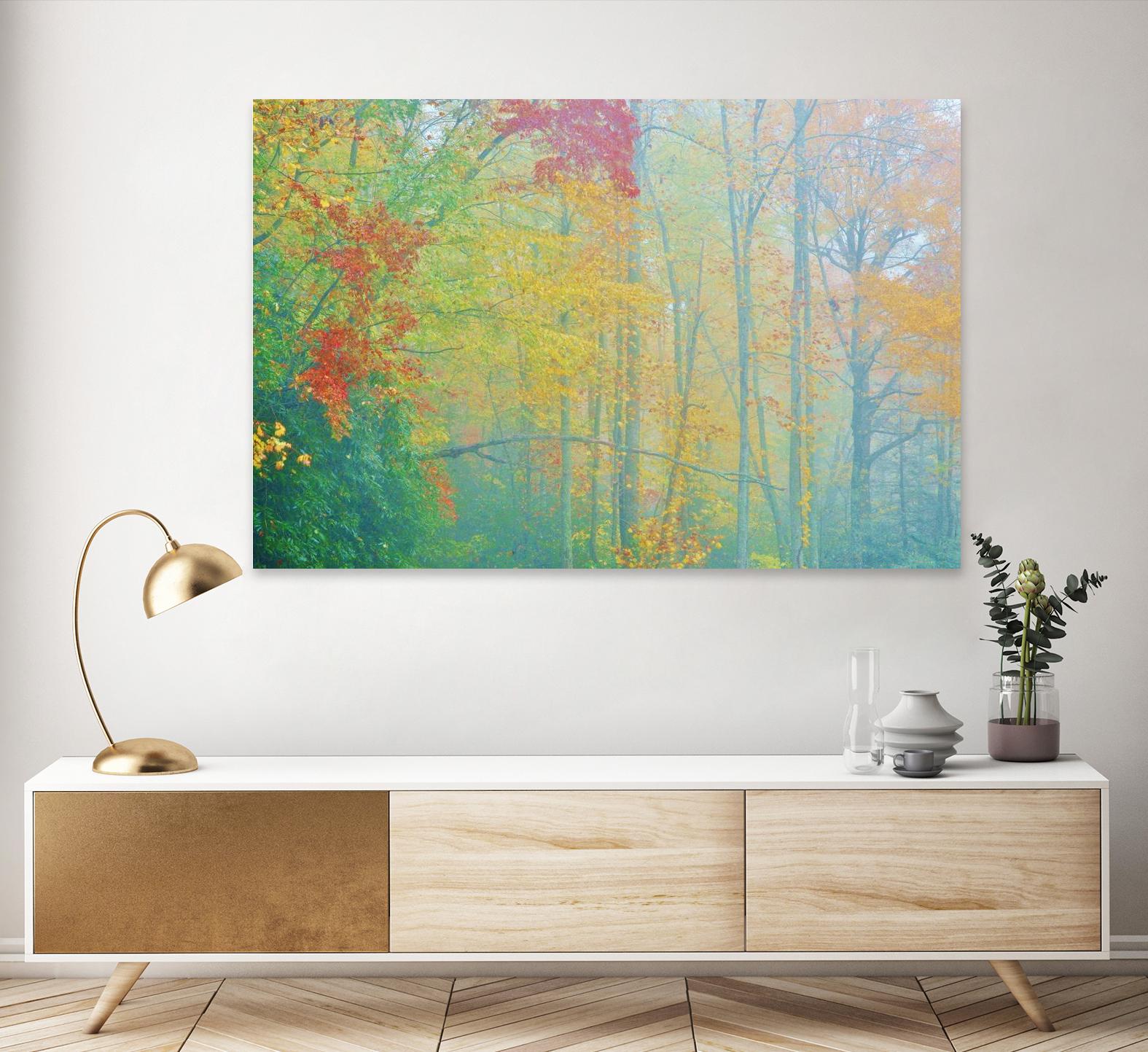 Autumn’s Palette by Steve Vaughn on GIANT ART - multicolor photography; landscapes