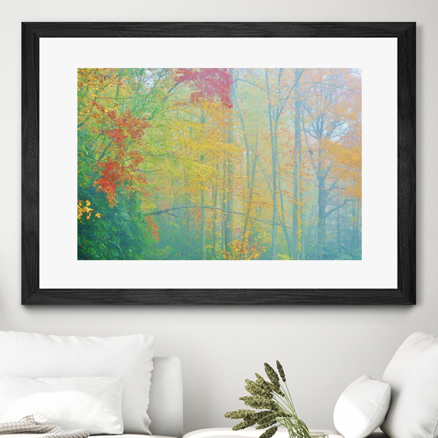 Autumn’s Palette by Steve Vaughn on GIANT ART - multicolor photography; landscapes