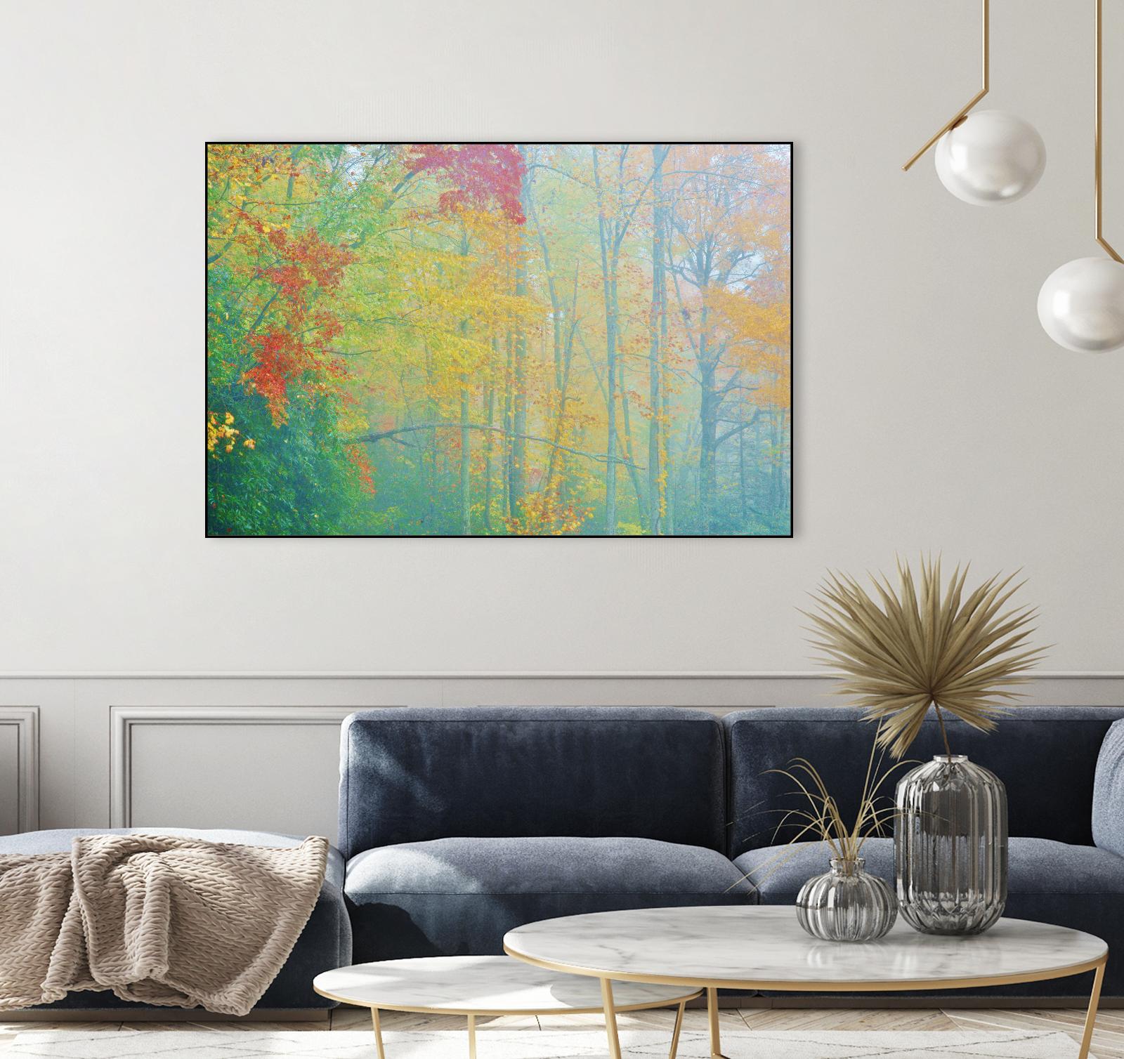 Autumn’s Palette by Steve Vaughn on GIANT ART - multicolor photography; landscapes