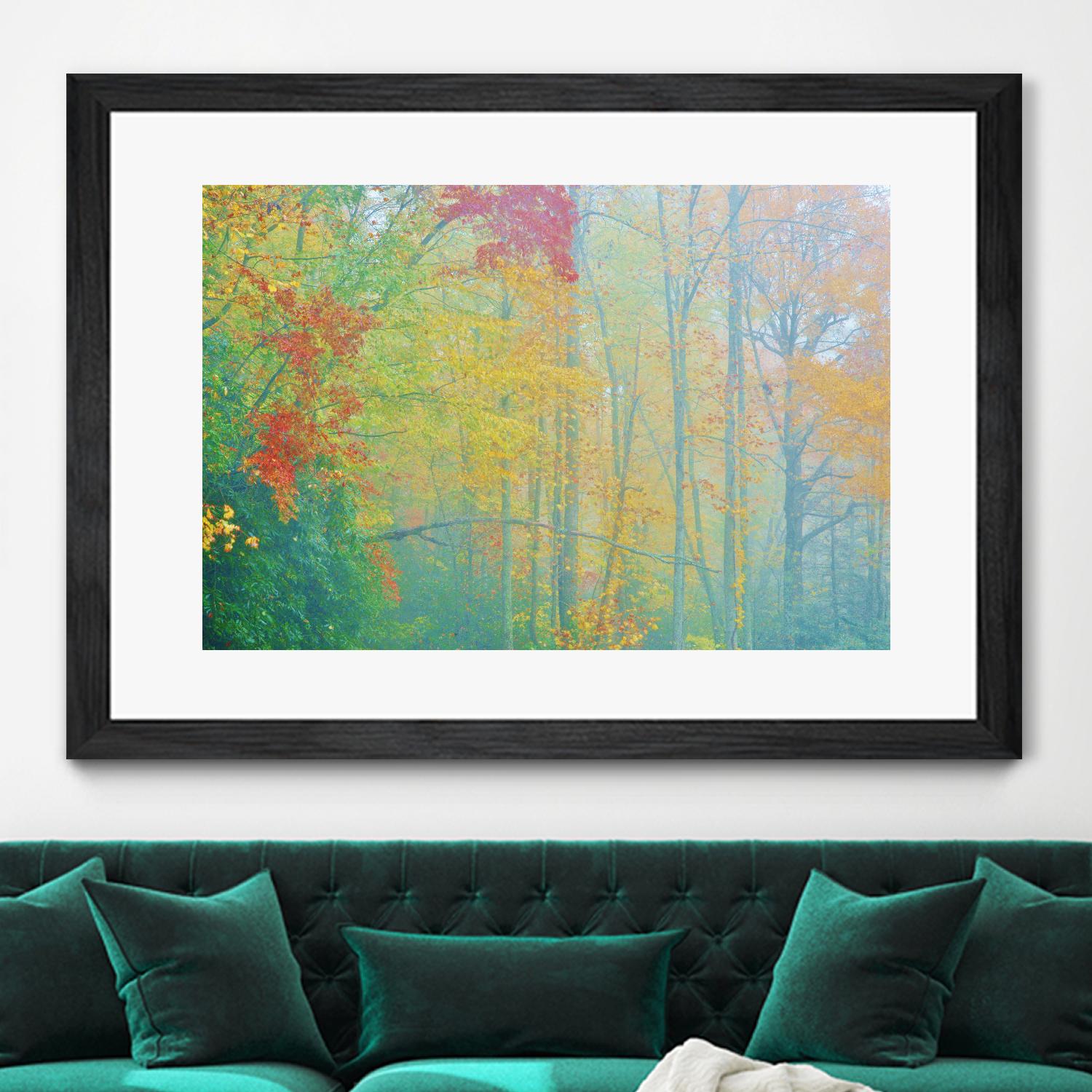 Autumn’s Palette by Steve Vaughn on GIANT ART - multicolor photography; landscapes
