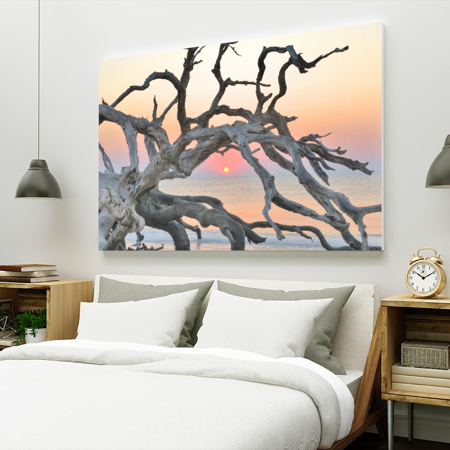 Sunrise Sentinel by Steve Vaughn on GIANT ART - multicolor photography; landscapes; coastal