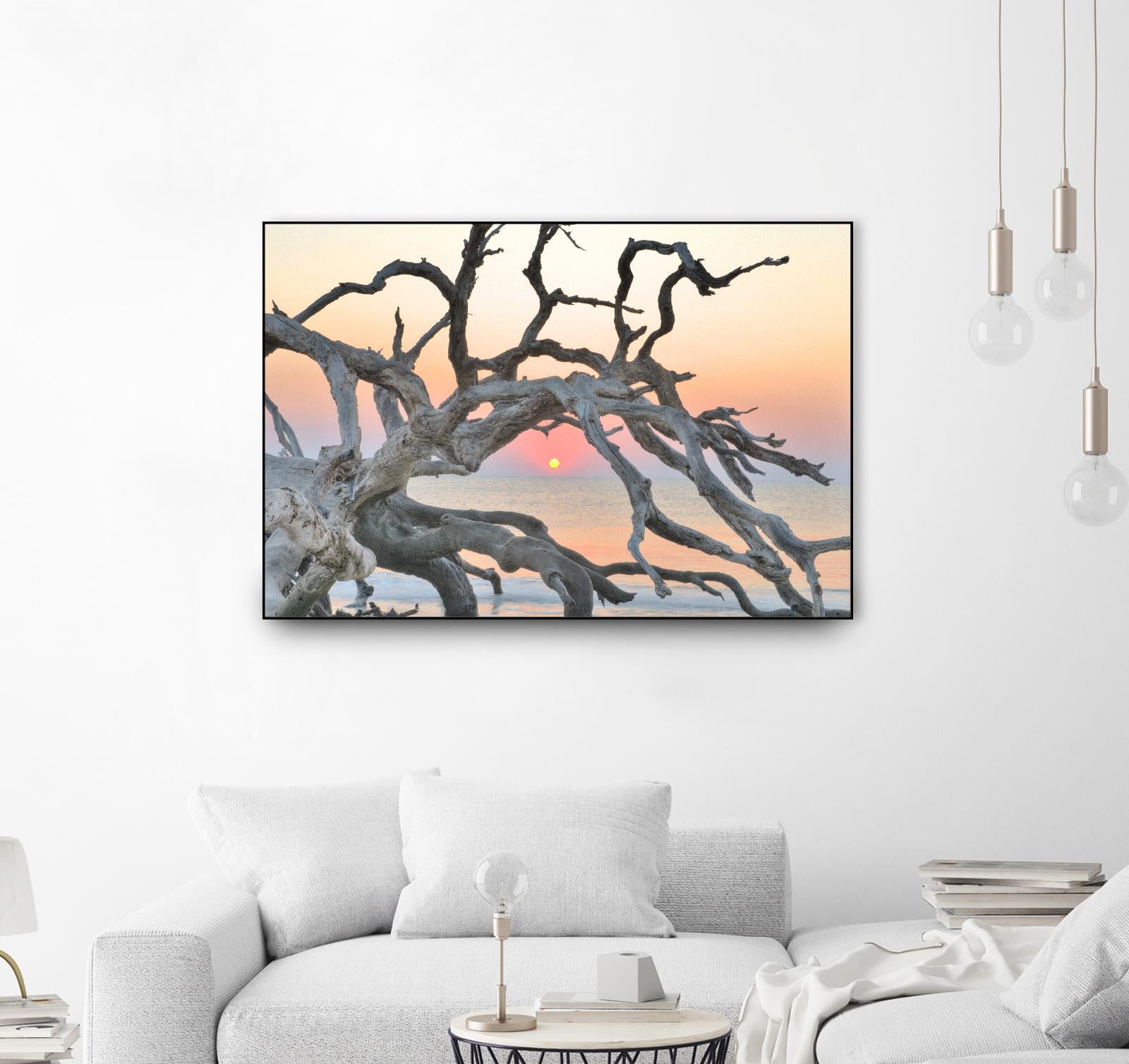 Sunrise Sentinel by Steve Vaughn on GIANT ART - multicolor photography; landscapes; coastal