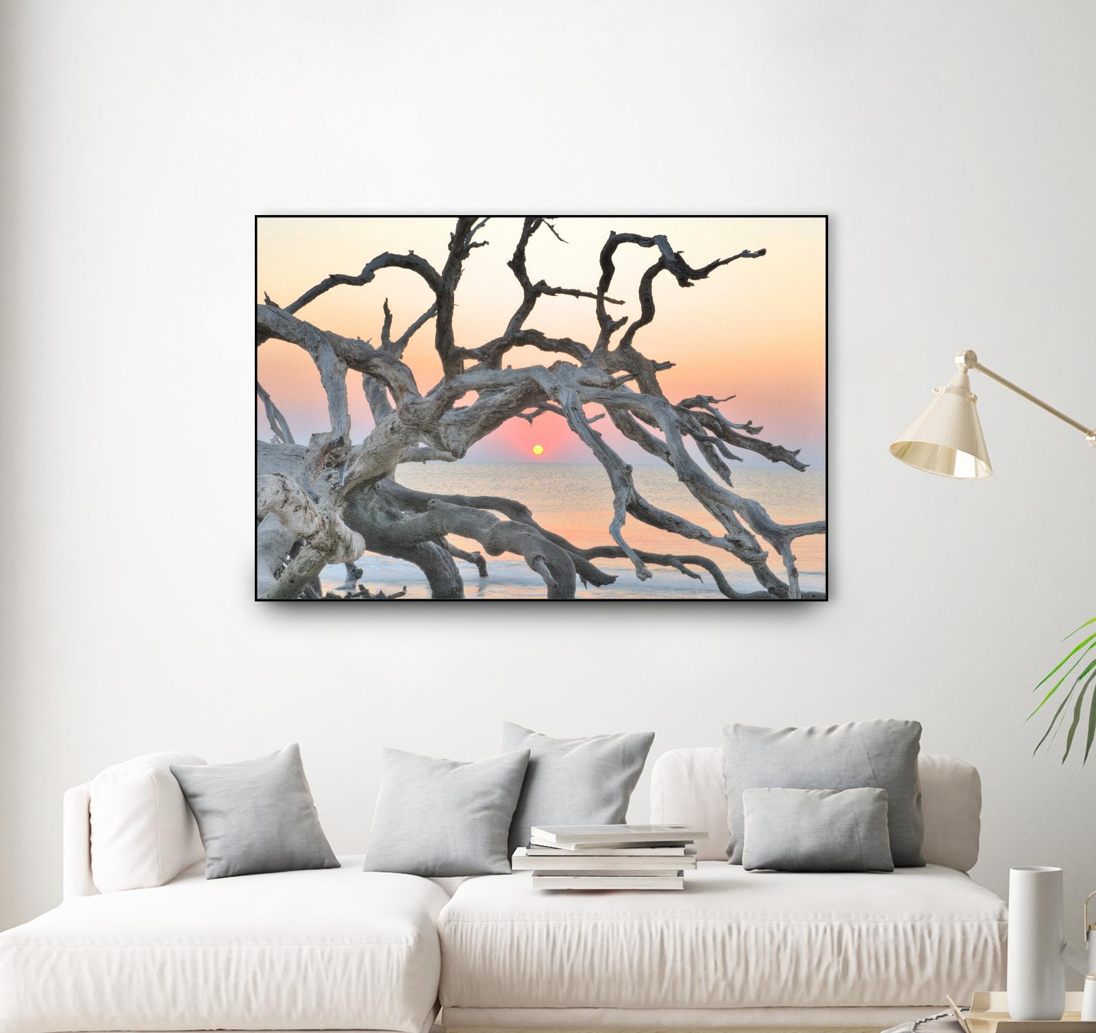 Sunrise Sentinel by Steve Vaughn on GIANT ART - multicolor photography; landscapes; coastal