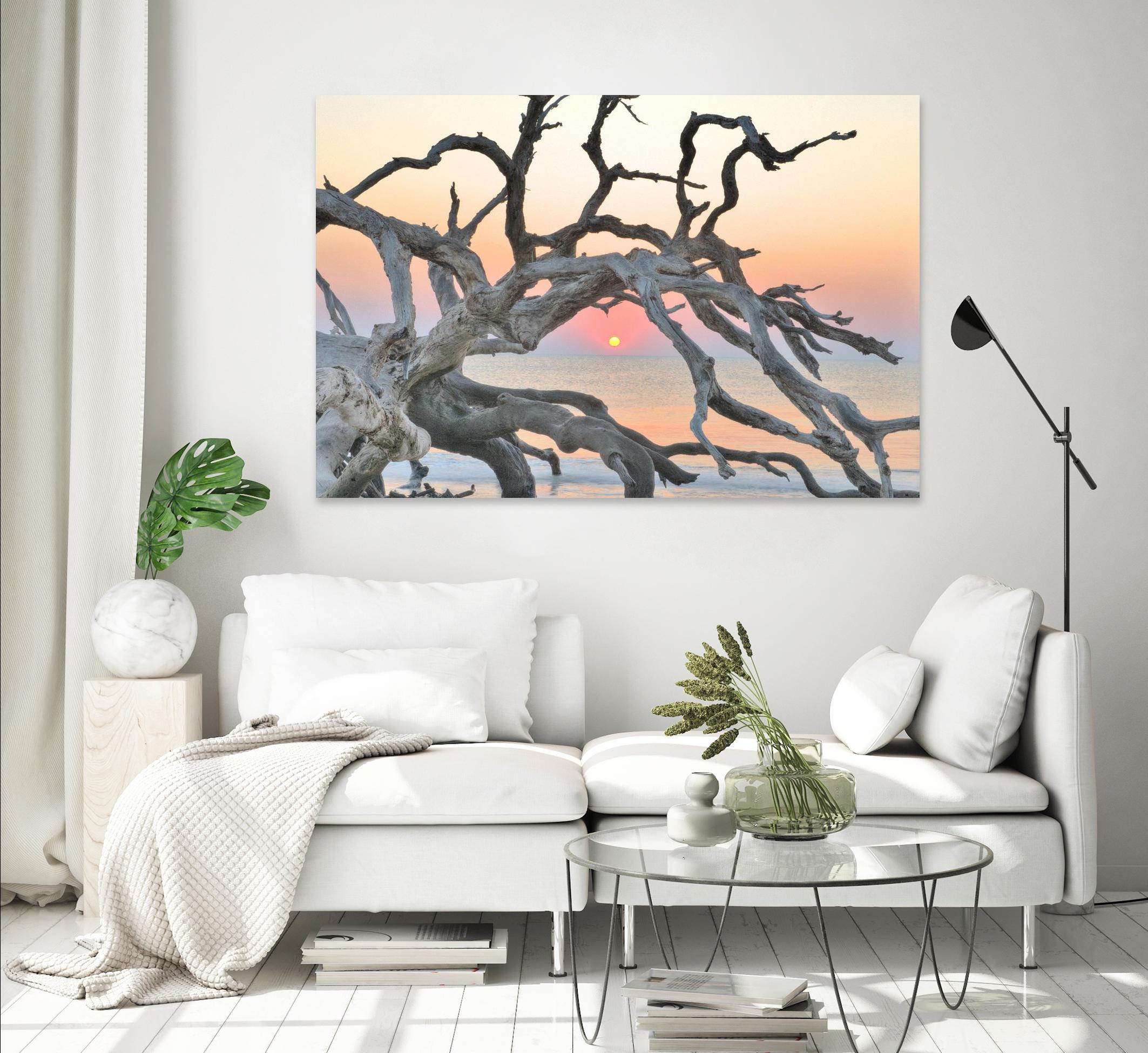 Sunrise Sentinel by Steve Vaughn on GIANT ART - multicolor photography; landscapes; coastal