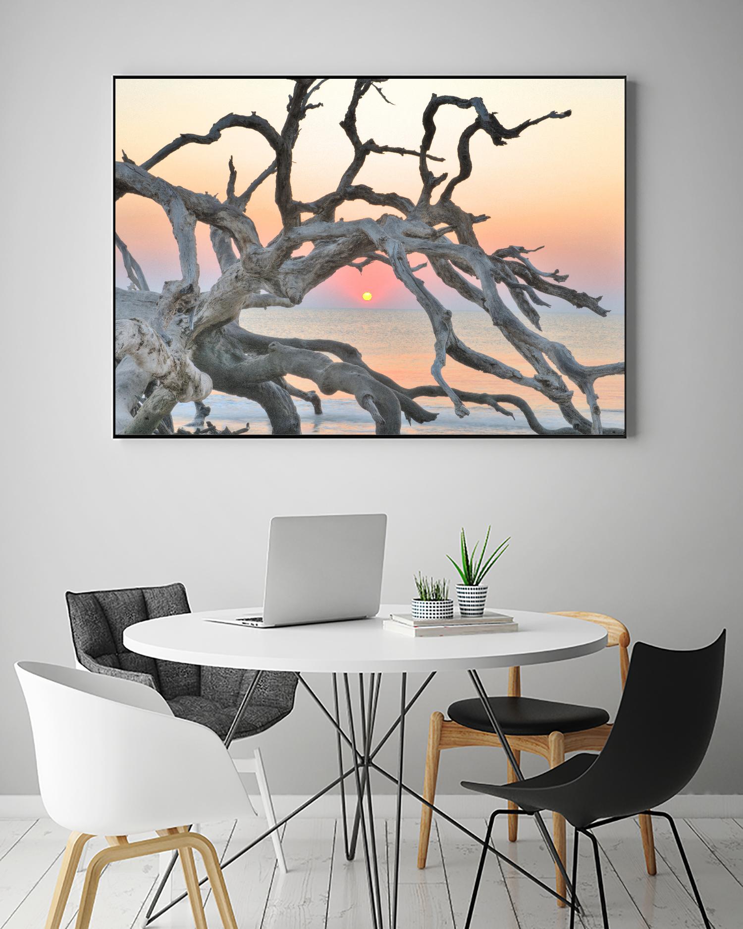 Sunrise Sentinel by Steve Vaughn on GIANT ART - multicolor photography; landscapes; coastal