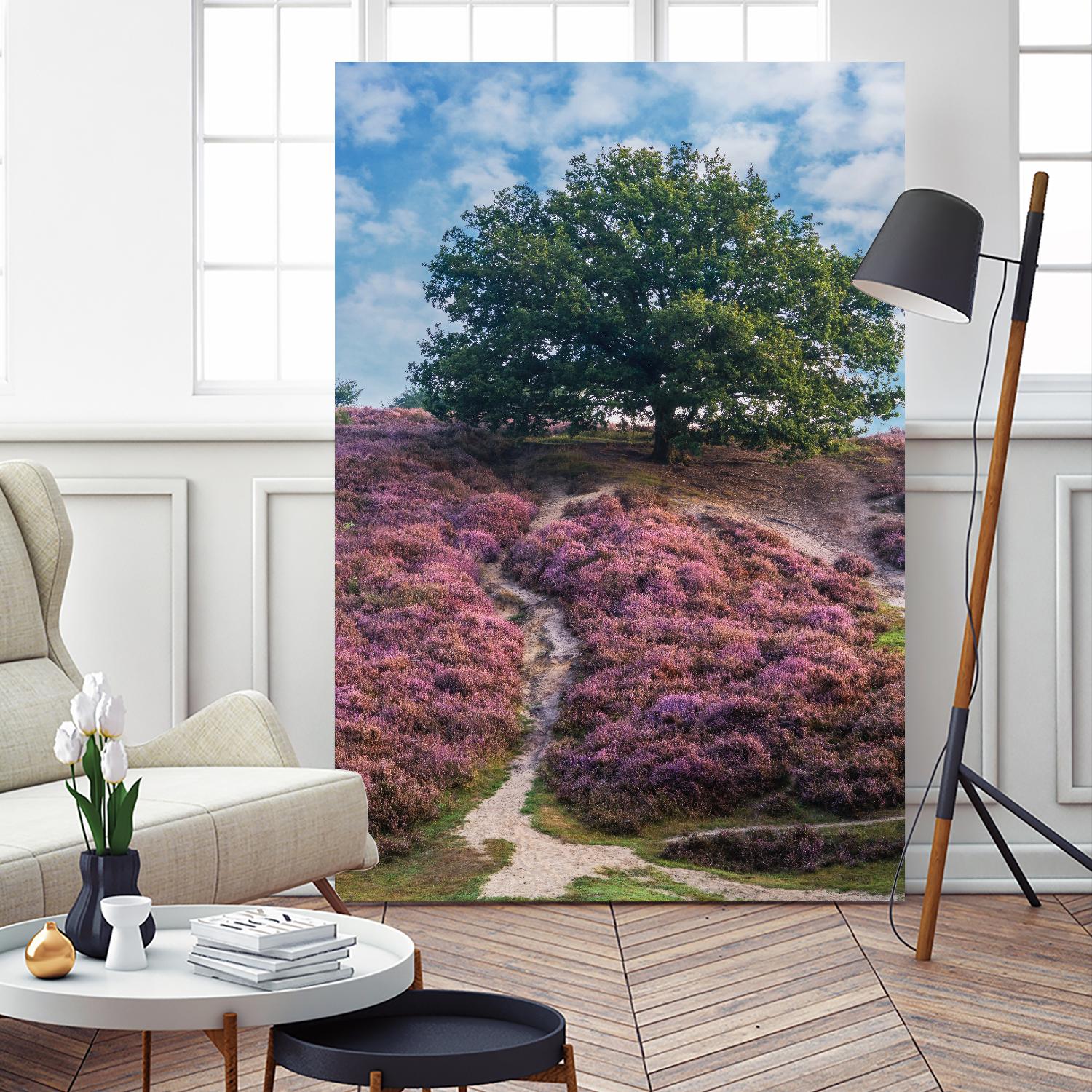 Purple Heath by Lars Van de Goor on GIANT ART - multicolor photography; landscapes