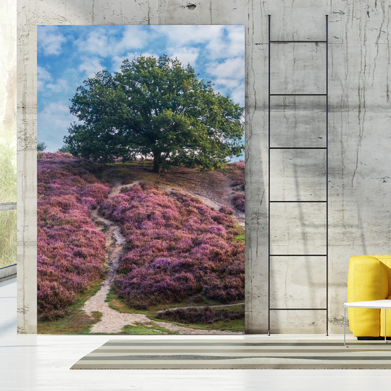 Purple Heath by Lars Van de Goor on GIANT ART - multicolor photography; landscapes