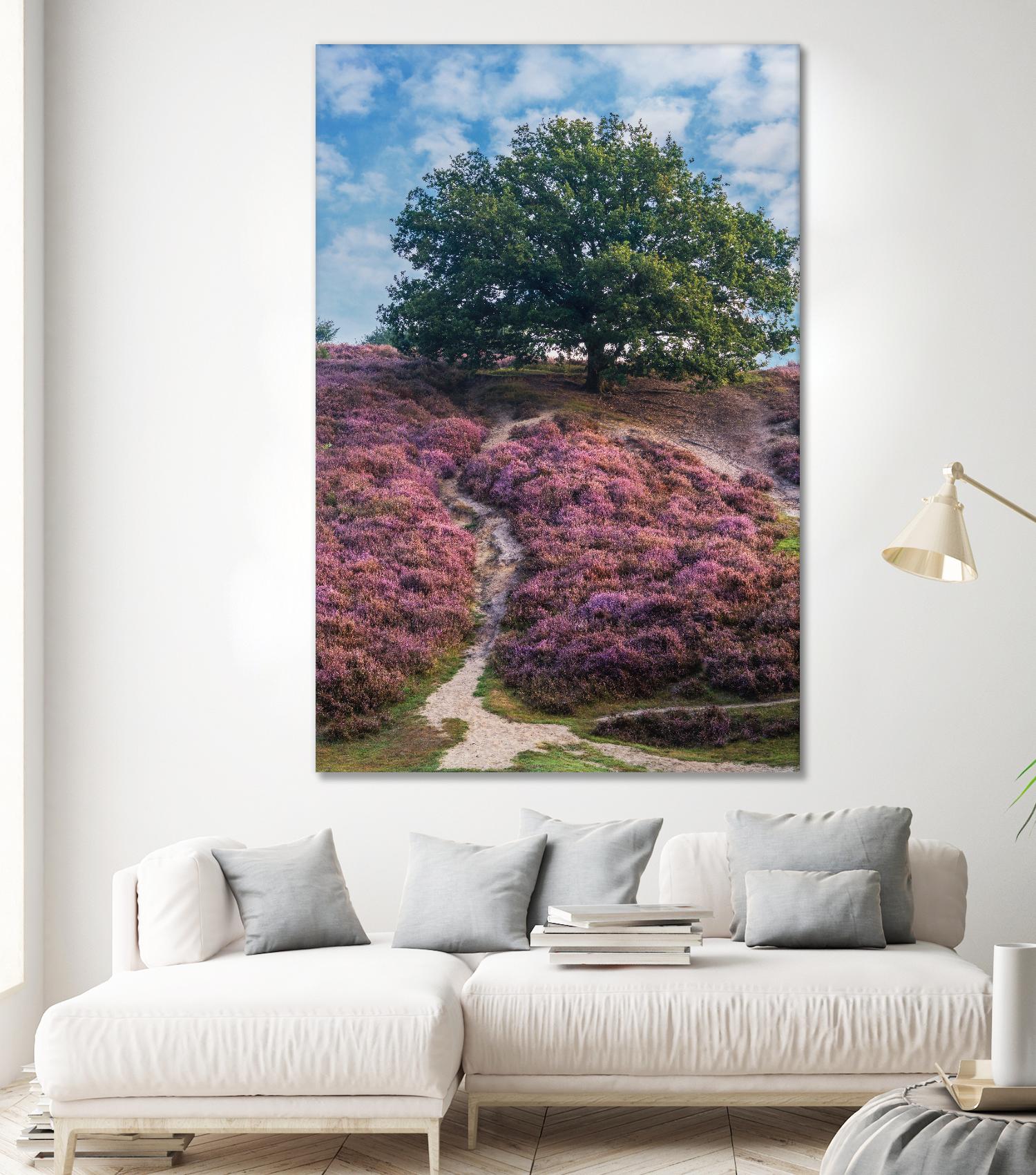 Purple Heath by Lars Van de Goor on GIANT ART - multicolor photography; landscapes