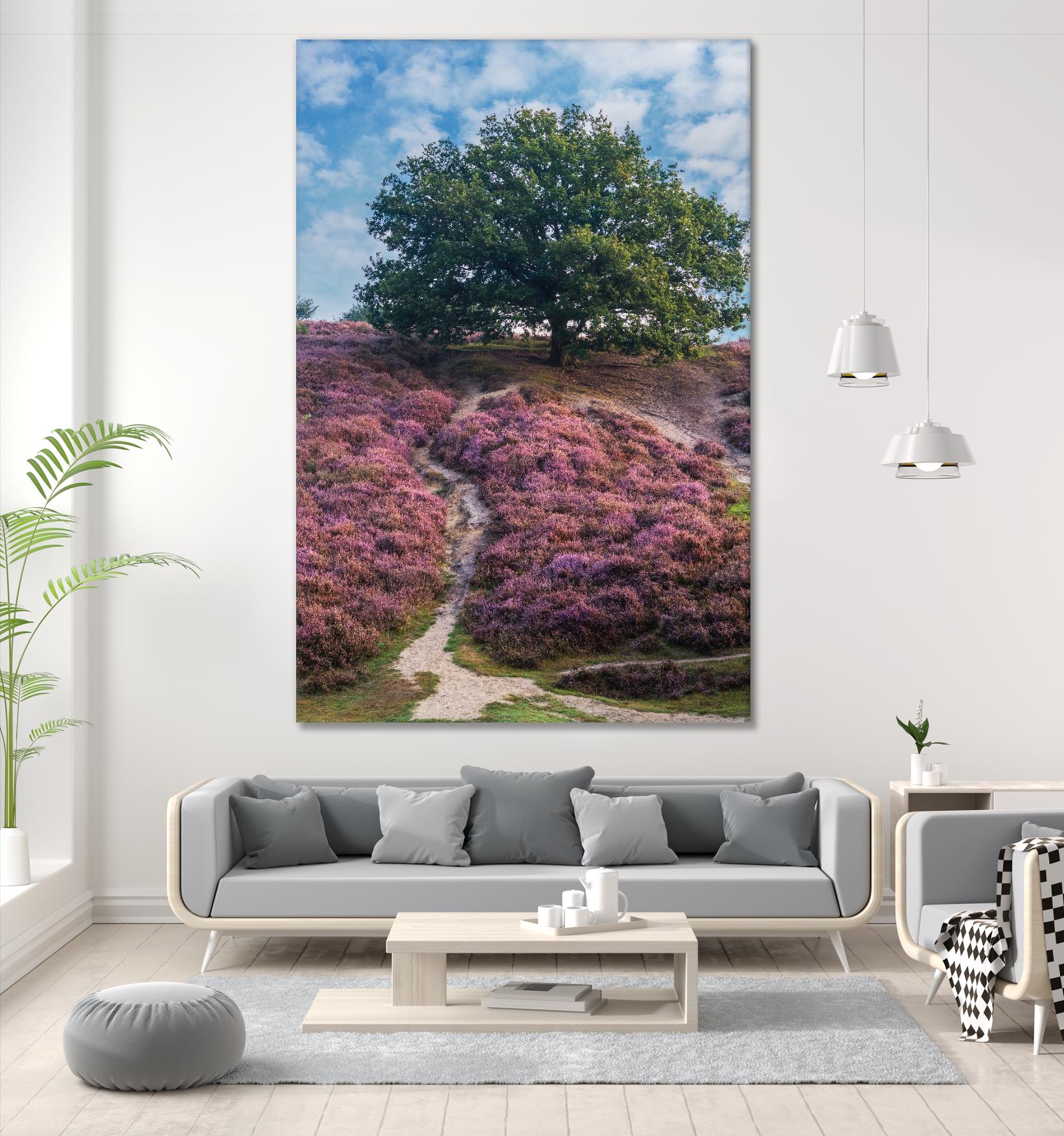 Purple Heath by Lars Van de Goor on GIANT ART - multicolor photography; landscapes