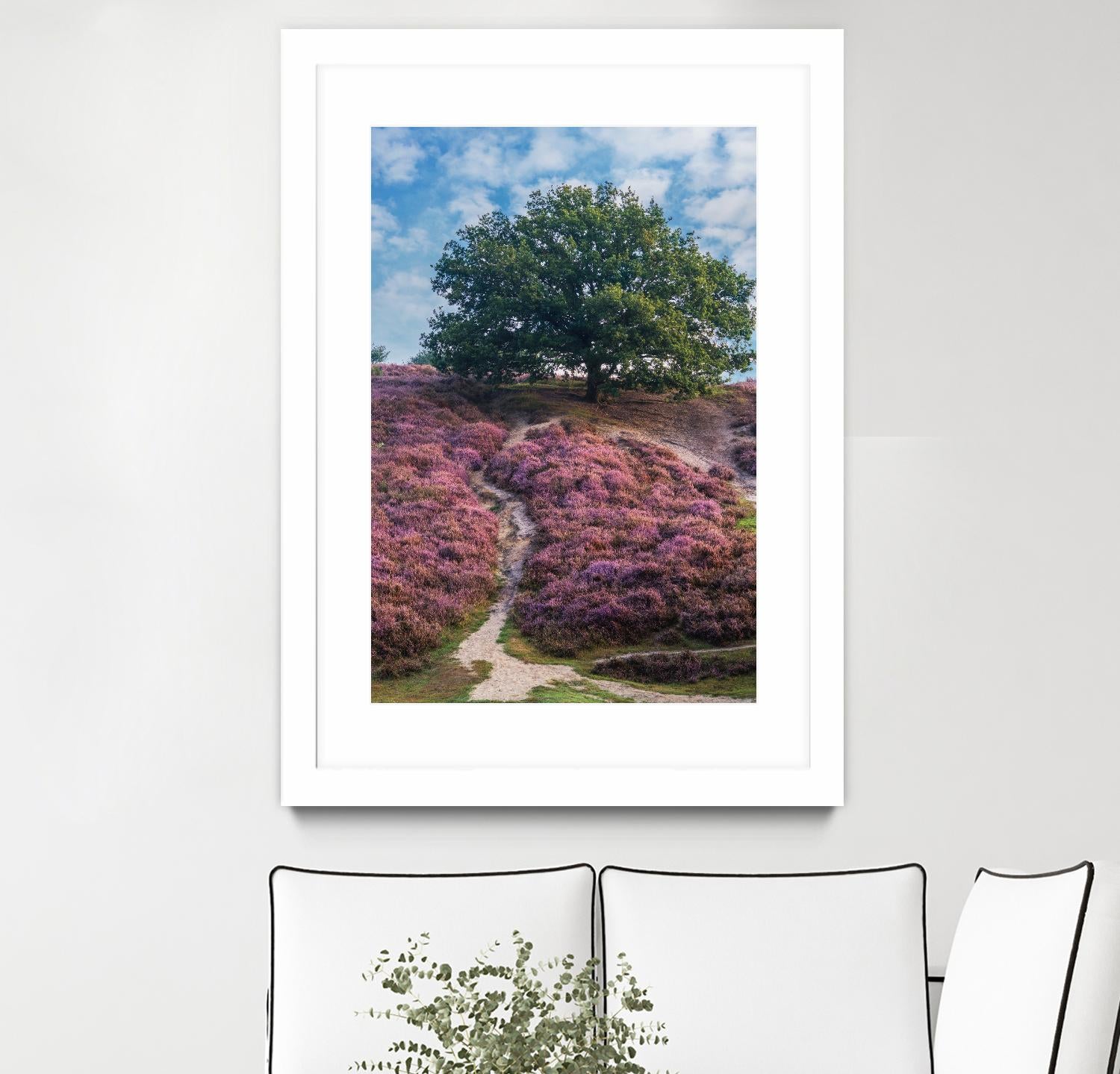 Purple Heath by Lars Van de Goor on GIANT ART - multicolor photography; landscapes