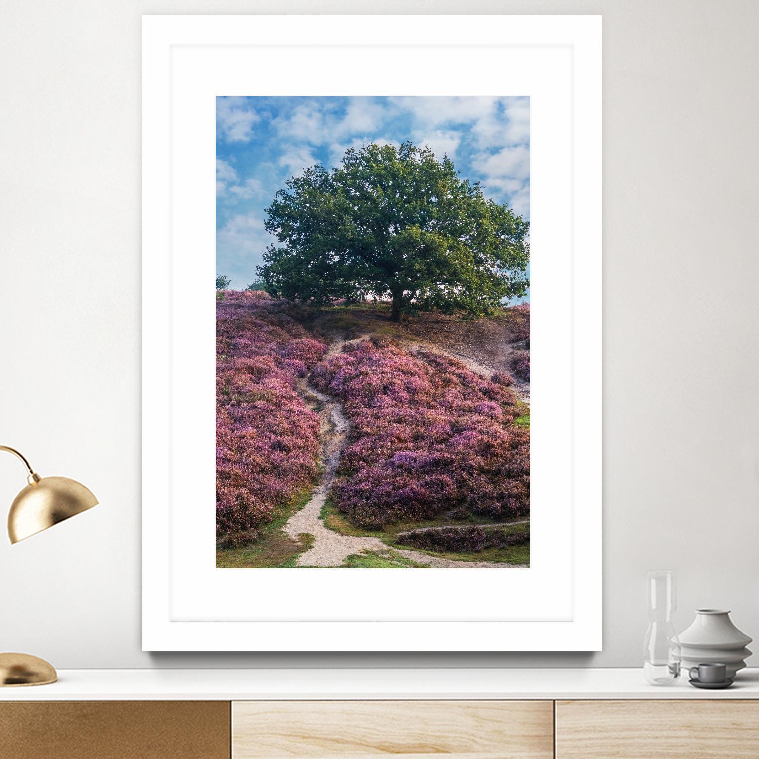 Purple Heath by Lars Van de Goor on GIANT ART - multicolor photography; landscapes