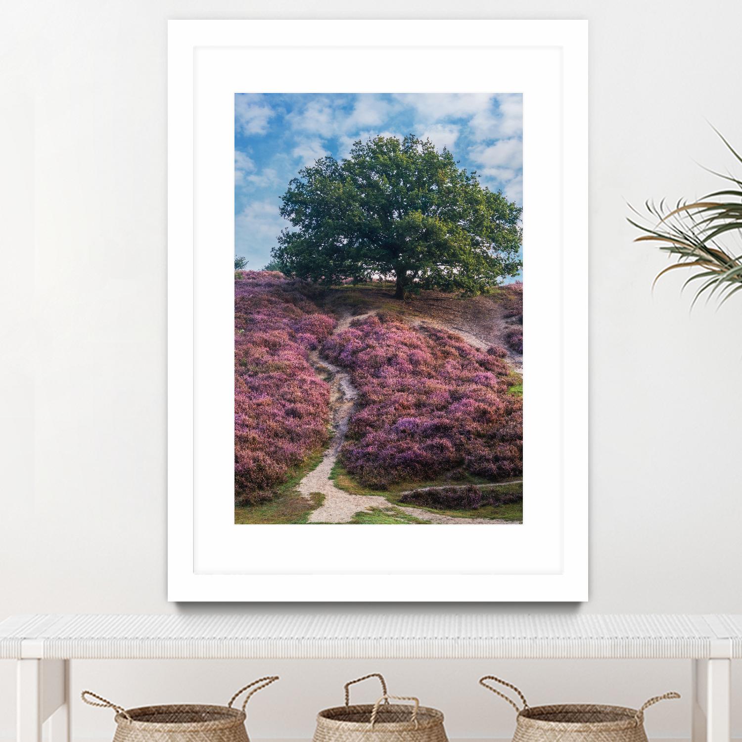 Purple Heath by Lars Van de Goor on GIANT ART - multicolor photography; landscapes