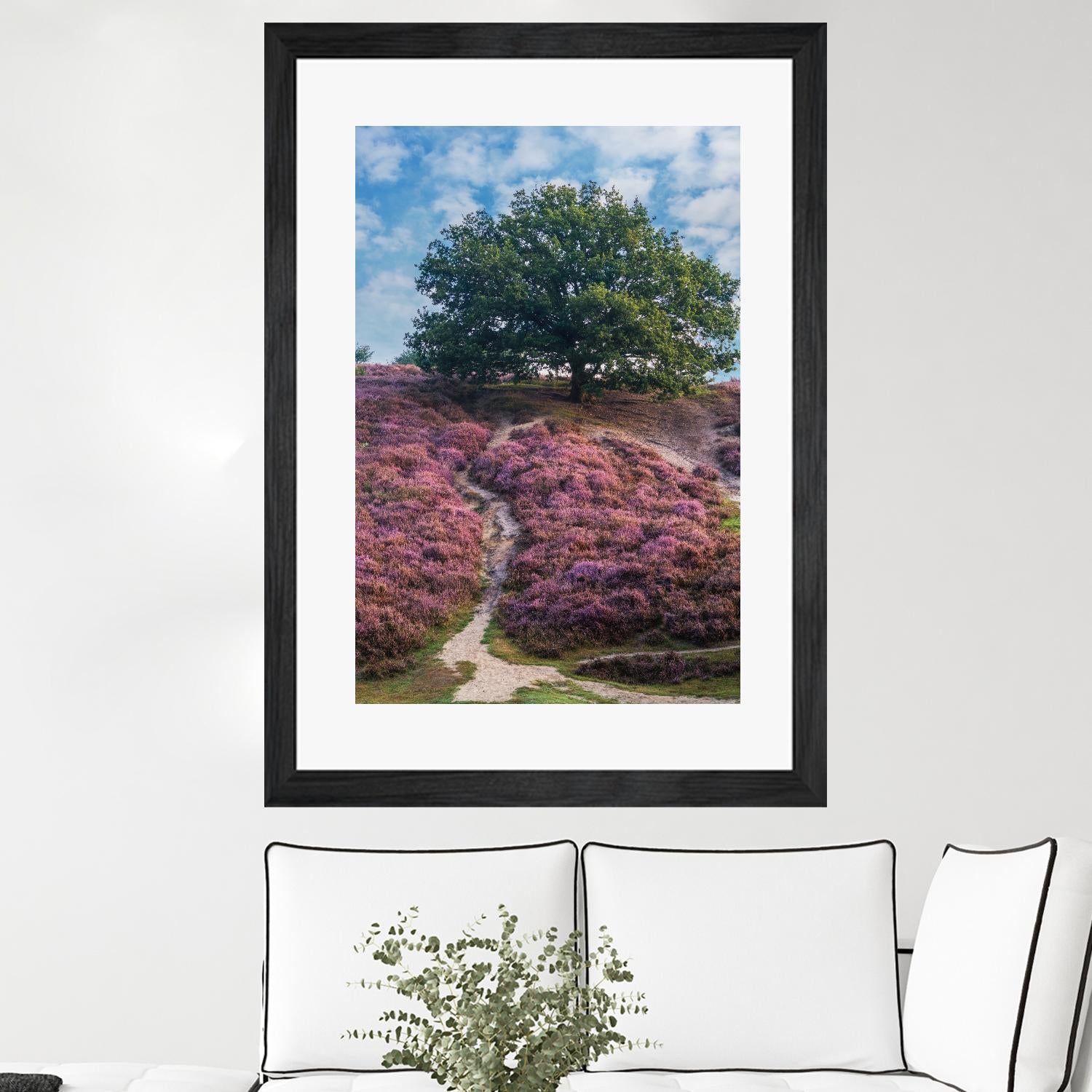 Purple Heath by Lars Van de Goor on GIANT ART - multicolor photography; landscapes