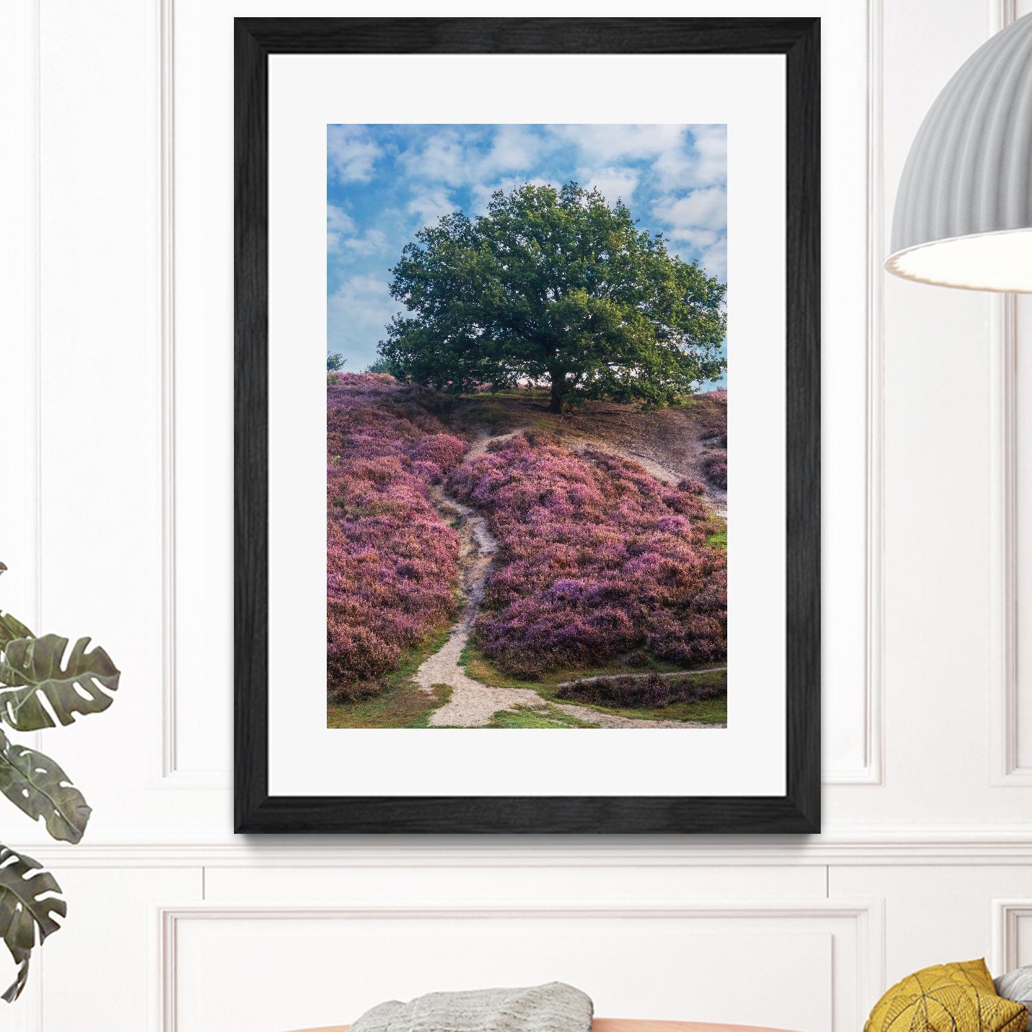 Purple Heath by Lars Van de Goor on GIANT ART - multicolor photography; landscapes